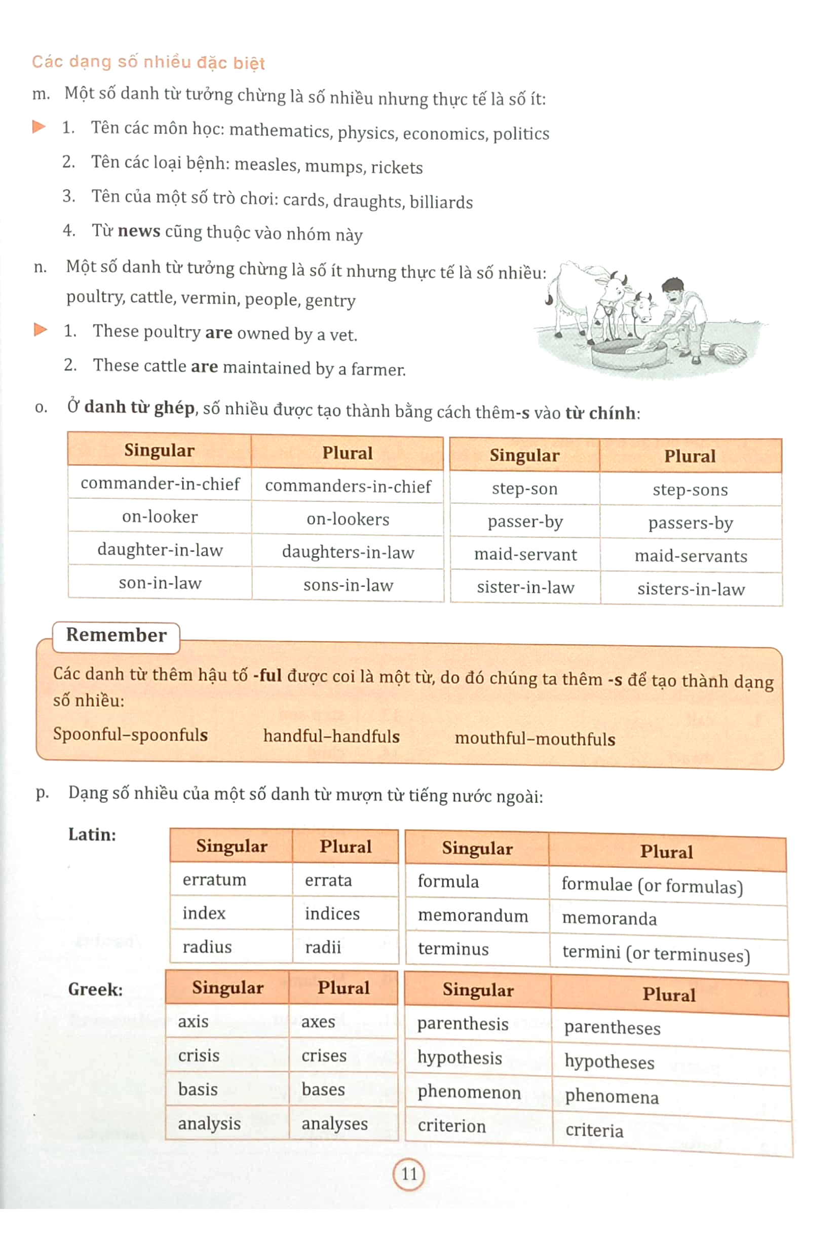 bài tập bổ trợ ngữ pháp tiếng anh lớp 7 - Ảnh 8