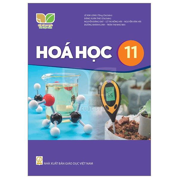 Bài Tập Địa Lí 11 (Kết Nối) (Chuẩn) - Ảnh 37