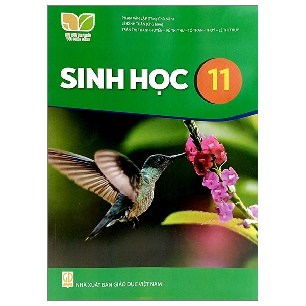 Bài Tập Địa Lí 11 (Kết Nối) (Chuẩn) - Ảnh 38
