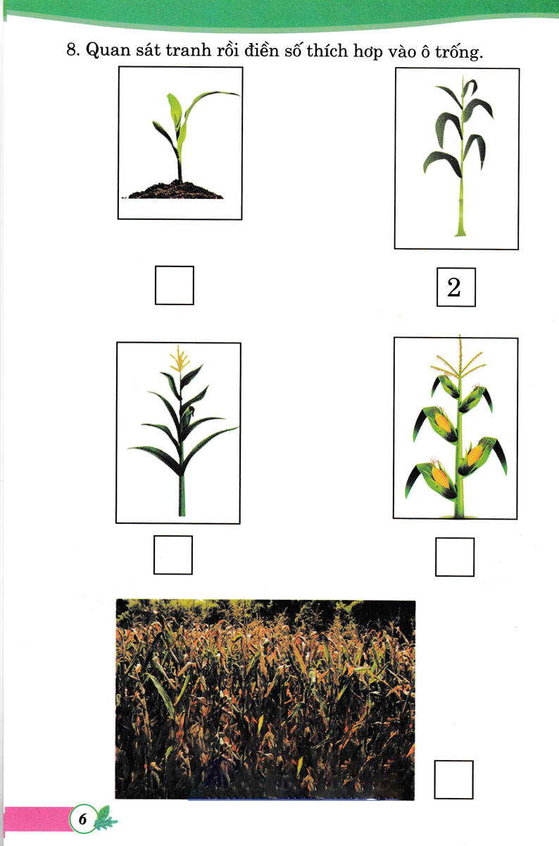 bài tập phát triển tư duy sáng tạo môn toán lớp 1 (biên soạn theo chương trình sách giáo khoa mới) - Ảnh 4