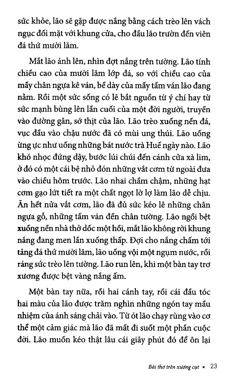 bài thơ trên xương cụt - Ảnh 11