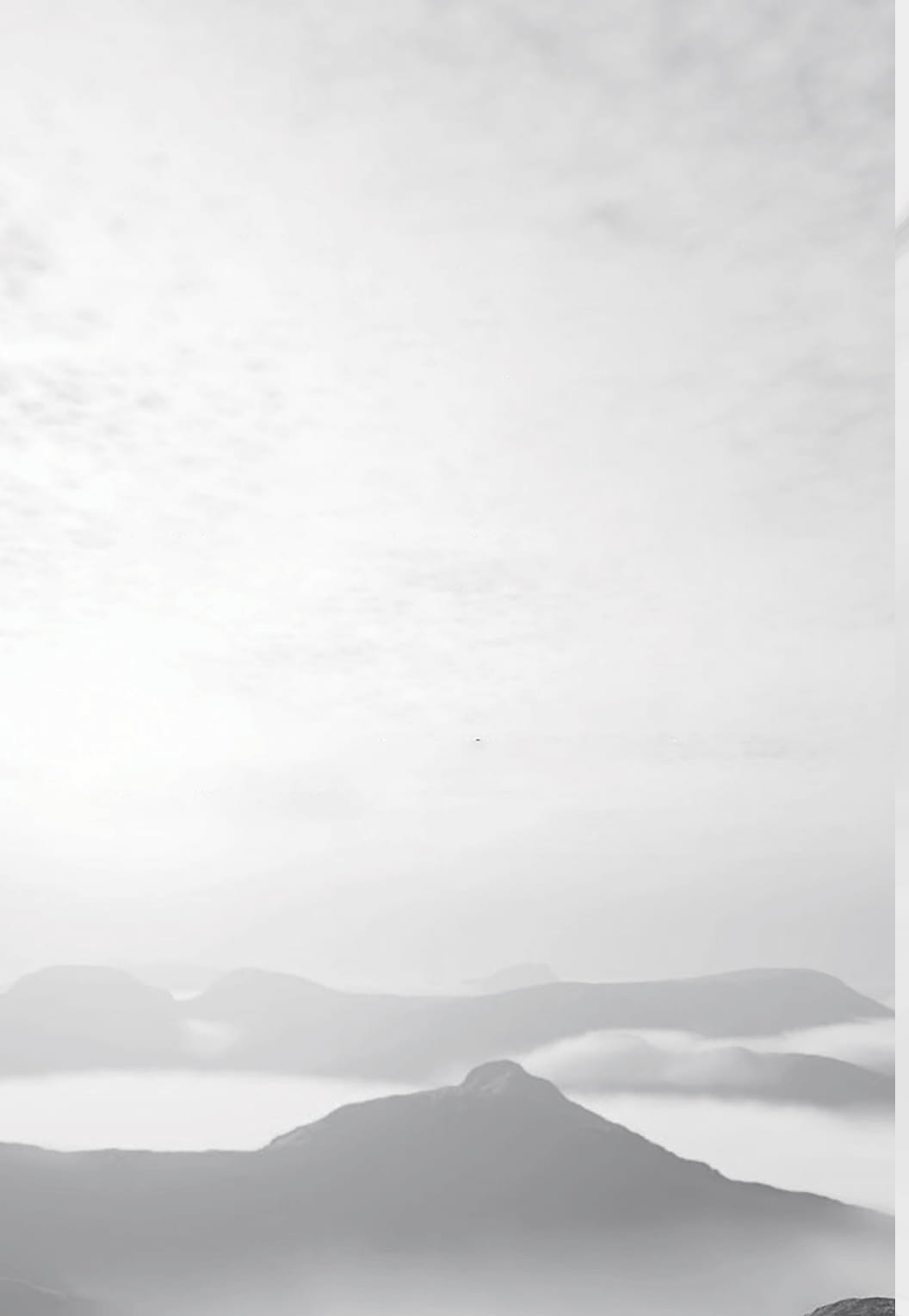 Bản Chất Của Ý Thức - Ảnh 11