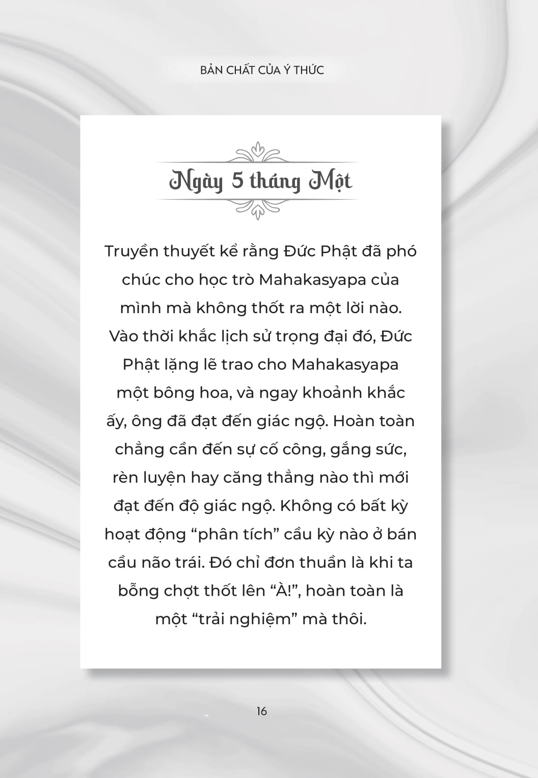 Bản Chất Của Ý Thức - Ảnh 15