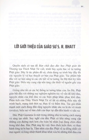 bản chất đạo đức học phật giáo - Ảnh 4