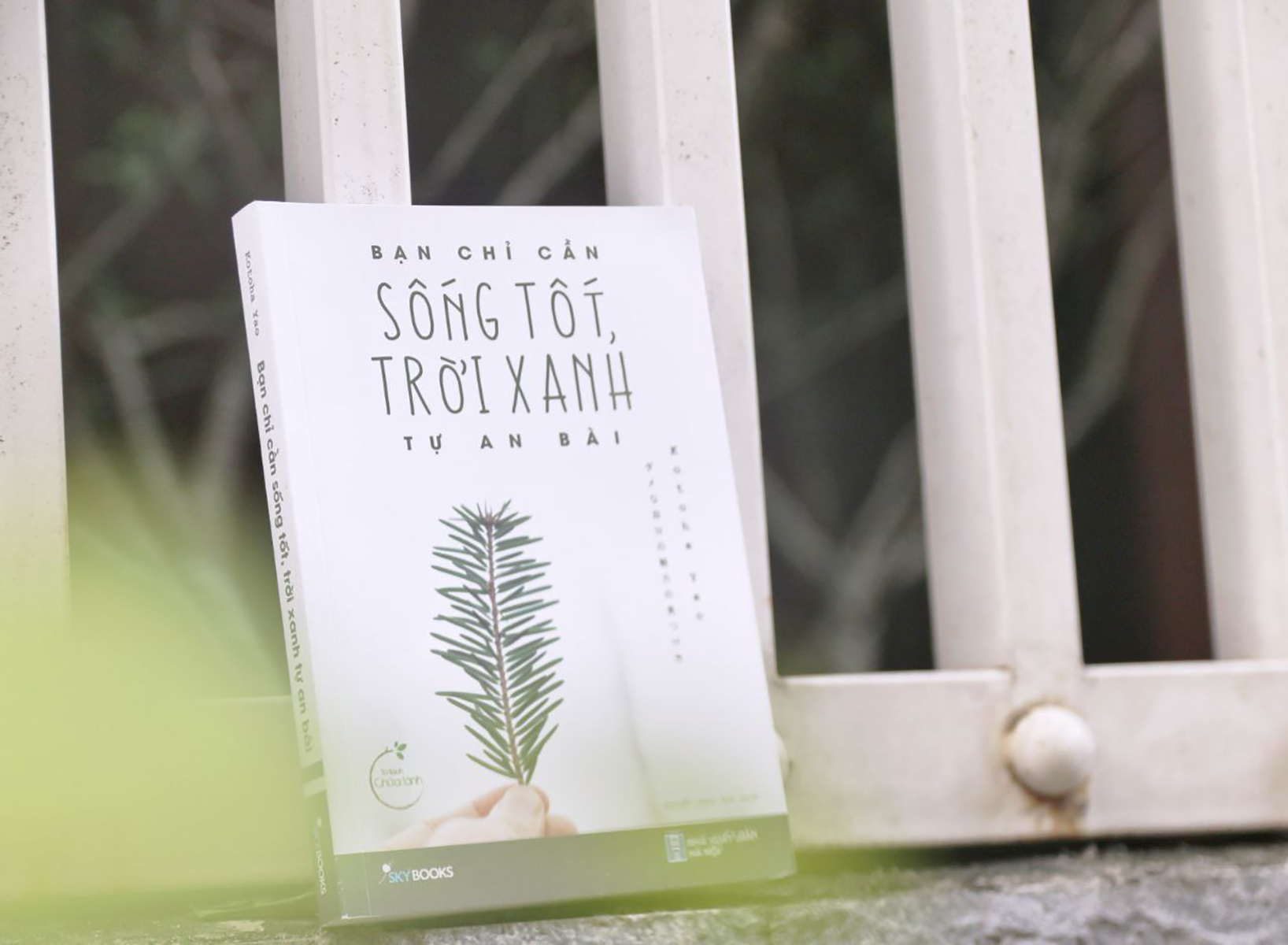 bạn chỉ cần sống tốt, trời xanh tự an bài (tái bản 2022) - Ảnh 3