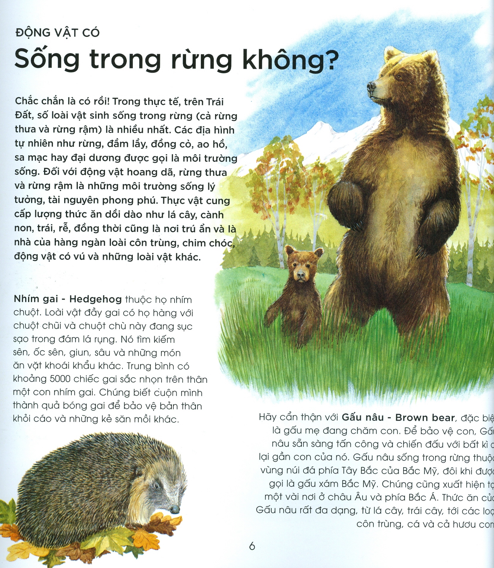 bạn có biết: động vật có cần che ô không? - hỏi đáp về thế giới hoang dã - Ảnh 3