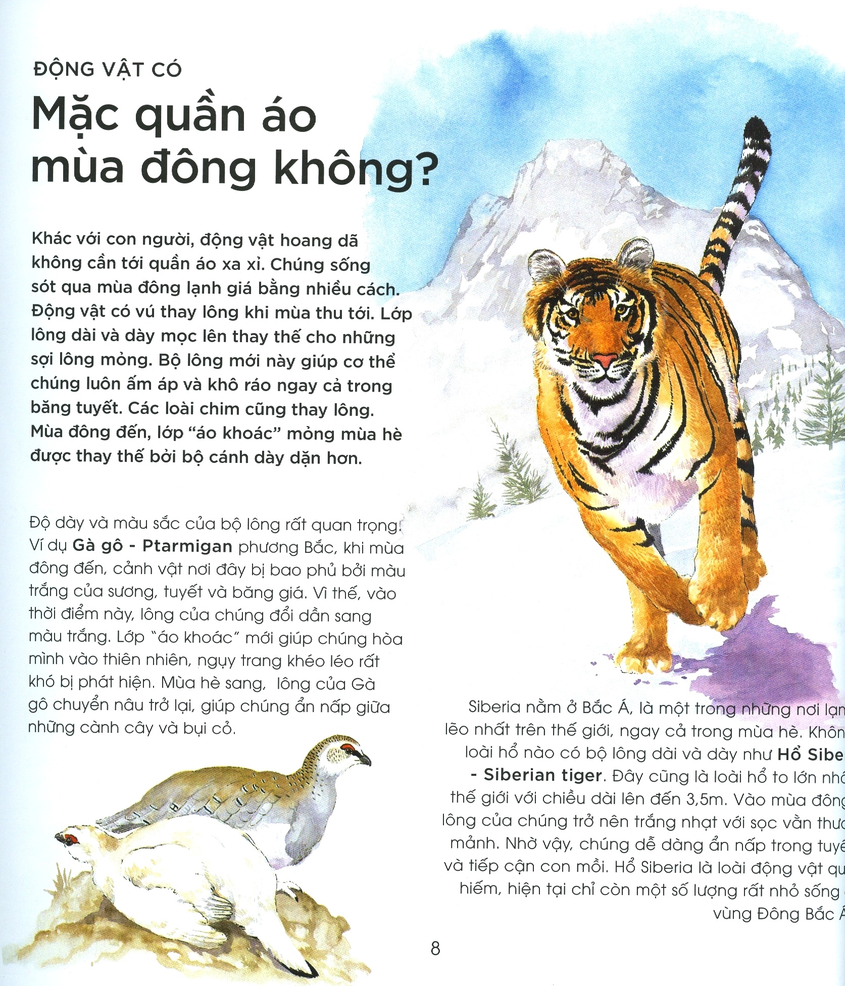 bạn có biết: động vật có cần che ô không? - hỏi đáp về thế giới hoang dã - Ảnh 5