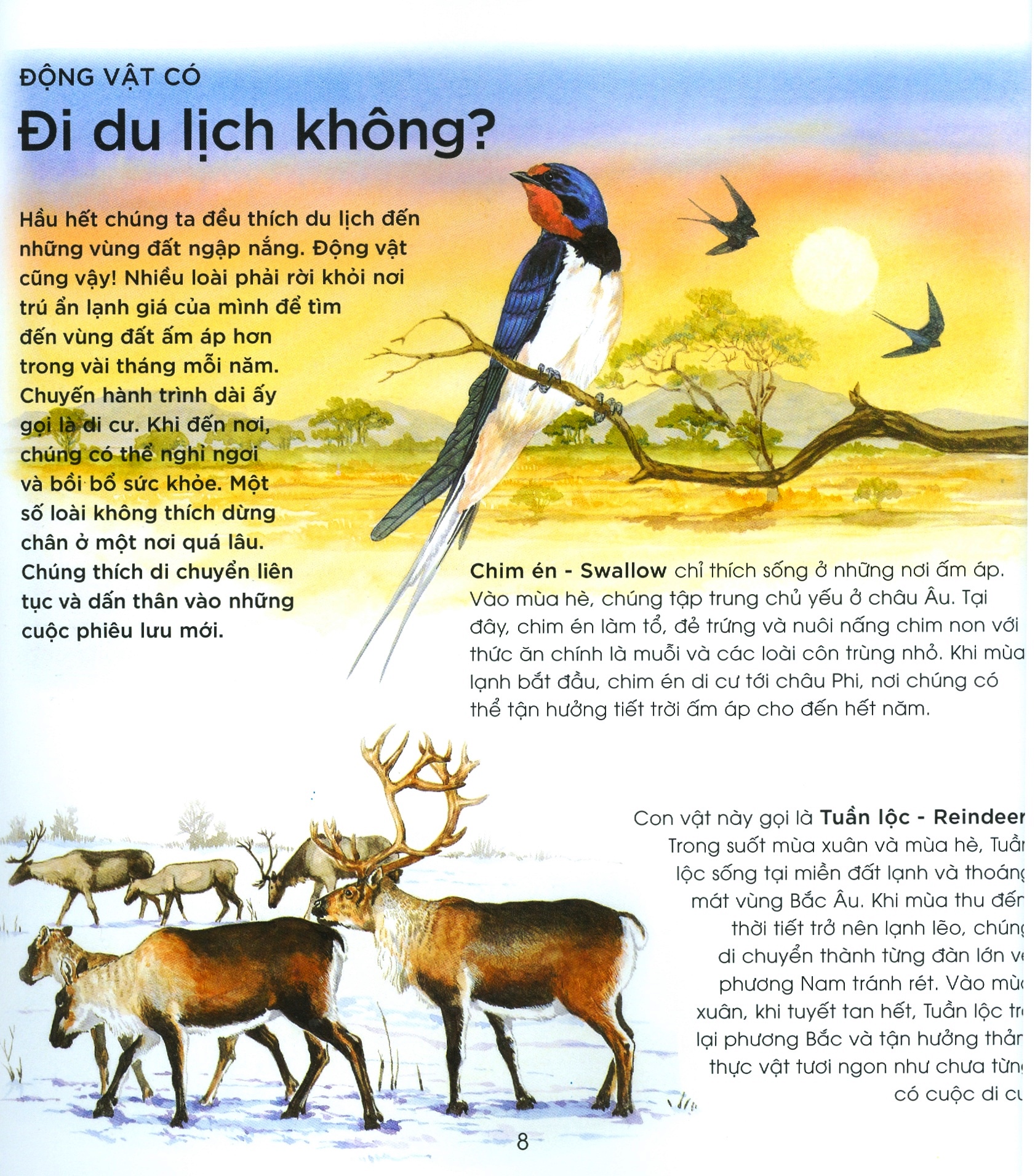 bạn có biết: động vật có cần đi học không? - hỏi đáp về cách thức sinh tồn - Ảnh 5