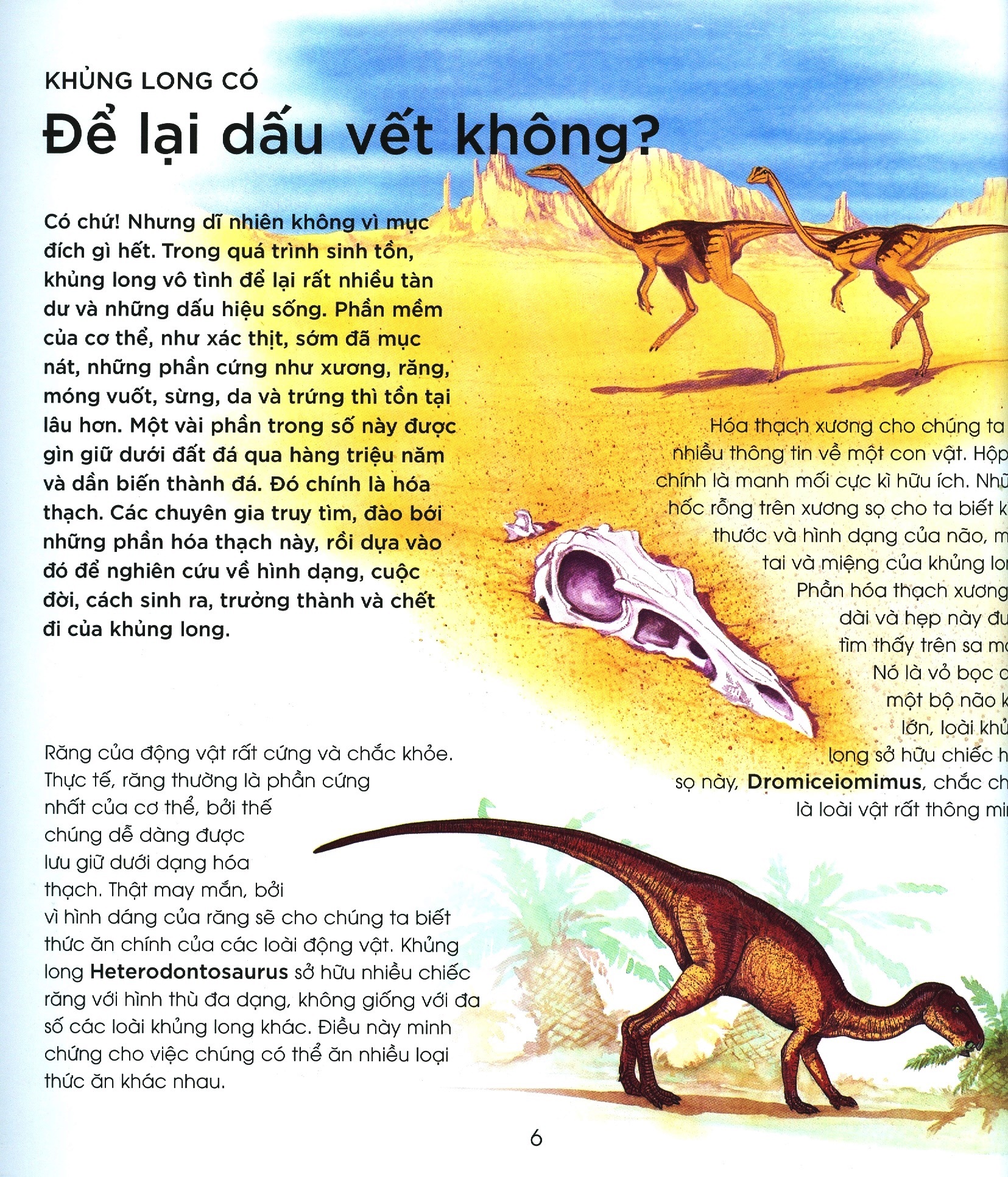 bạn có biết: khủng long có đẻ trứng không? - hỏi đáp về bò sát thời tiền sử - Ảnh 3