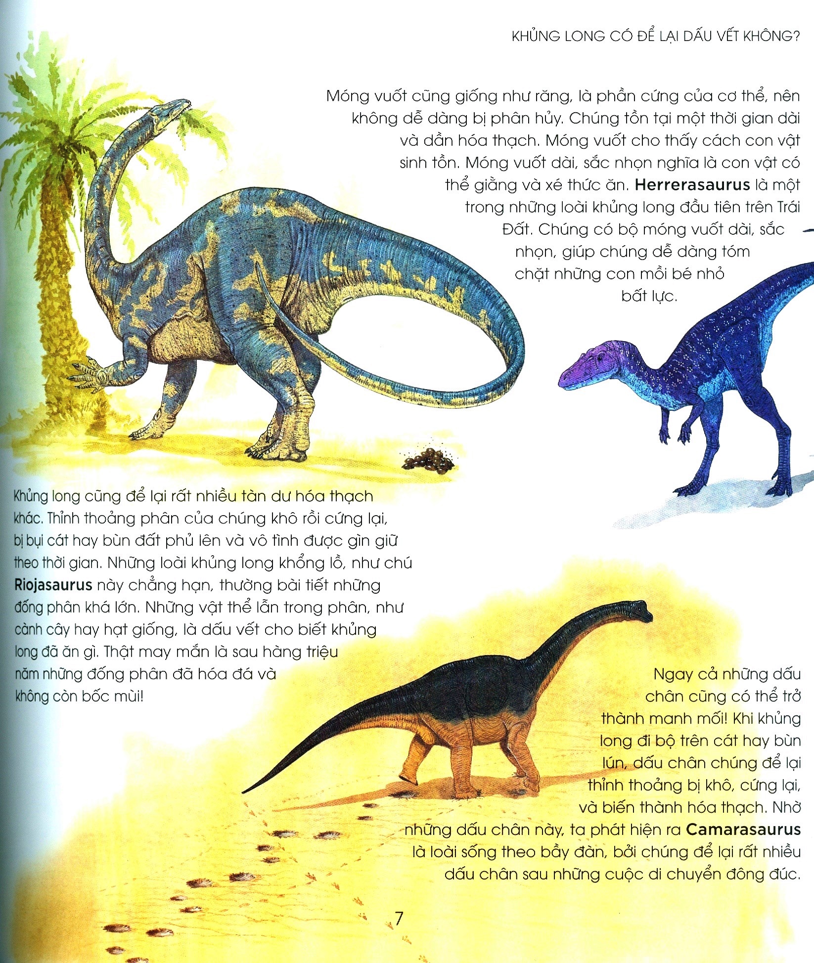 bạn có biết: khủng long có đẻ trứng không? - hỏi đáp về bò sát thời tiền sử - Ảnh 4