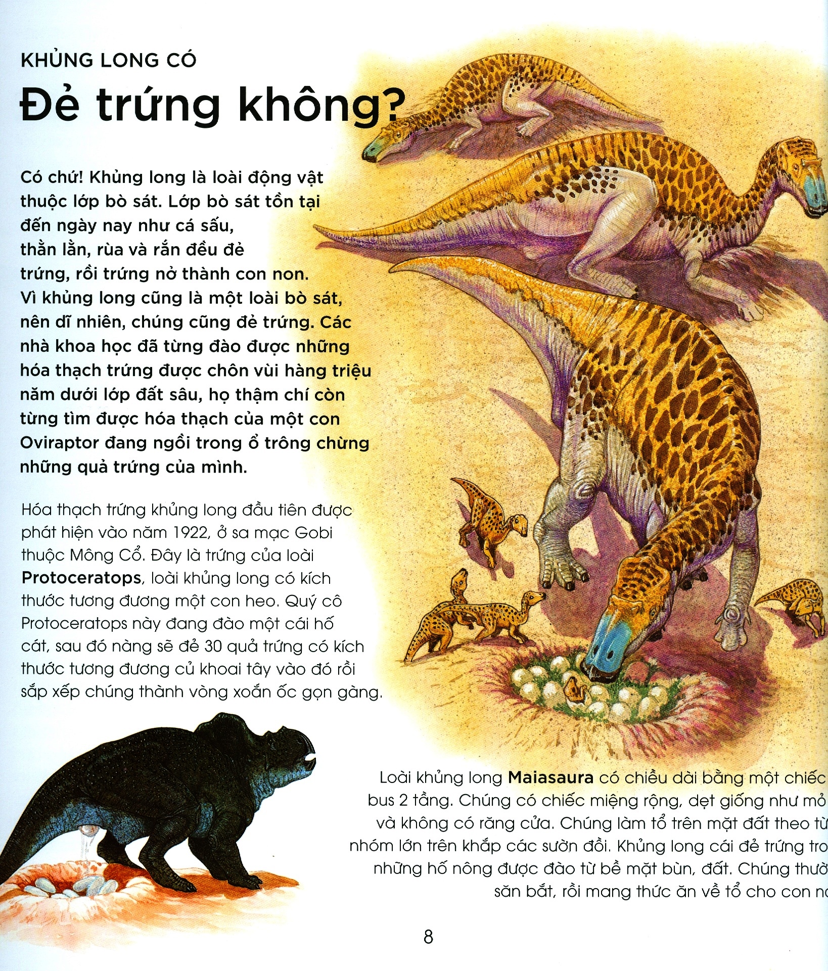 bạn có biết: khủng long có đẻ trứng không? - hỏi đáp về bò sát thời tiền sử - Ảnh 5