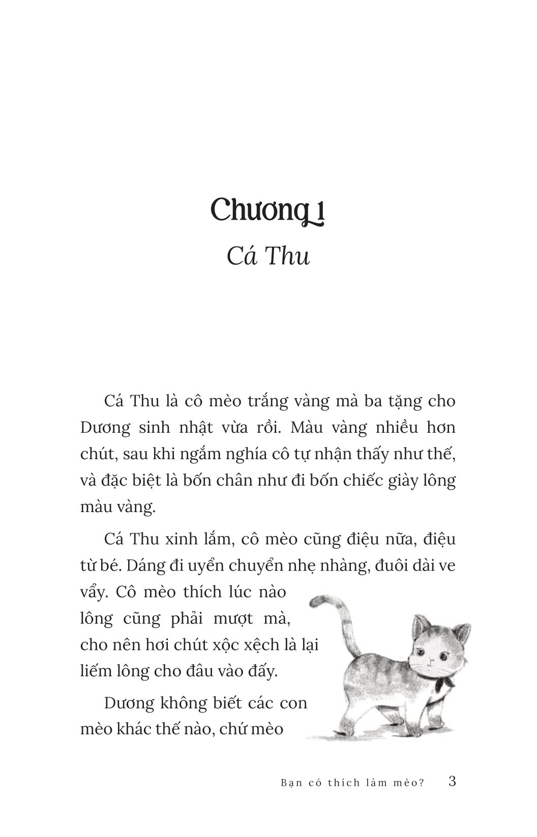 bạn có thích làm mèo? - Ảnh 4