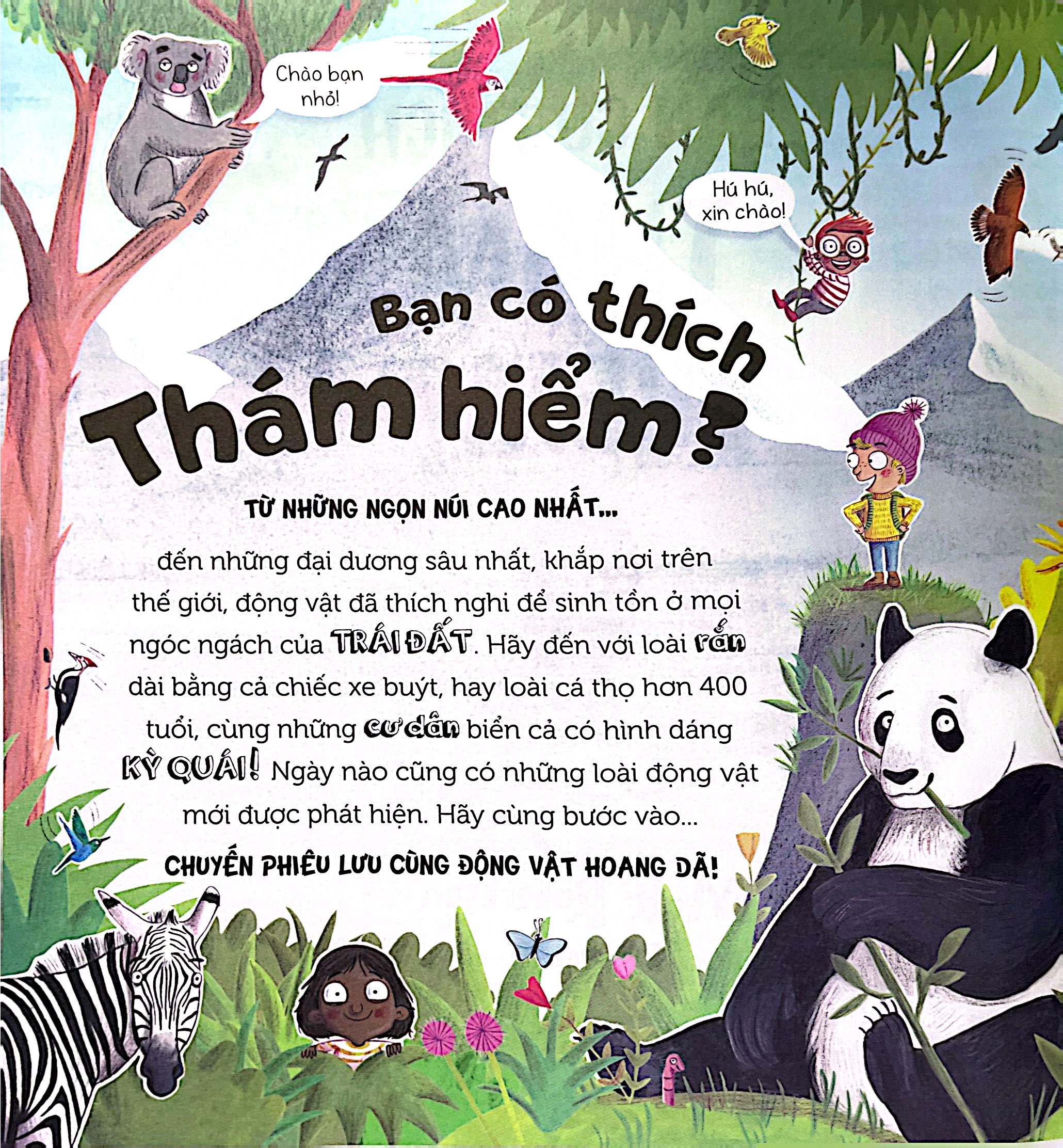 Bạn Có Thích Thám Hiểm? - Ảnh 3