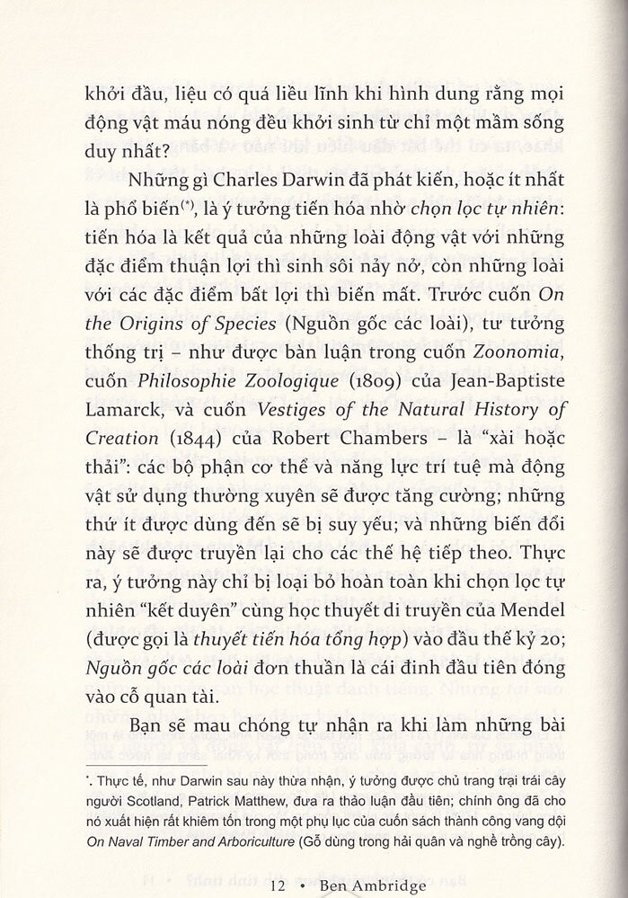 bạn có thông minh hơn con tinh tinh - Ảnh 10