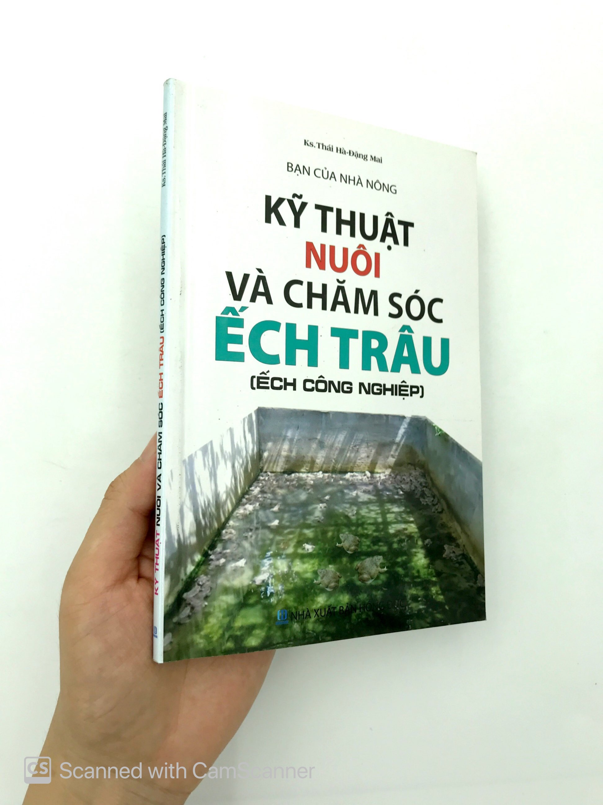 bạn của nhà nông - kỹ thuật nuôi và chăm sóc ếch trâu (ếch công nghiệp) - Ảnh 12