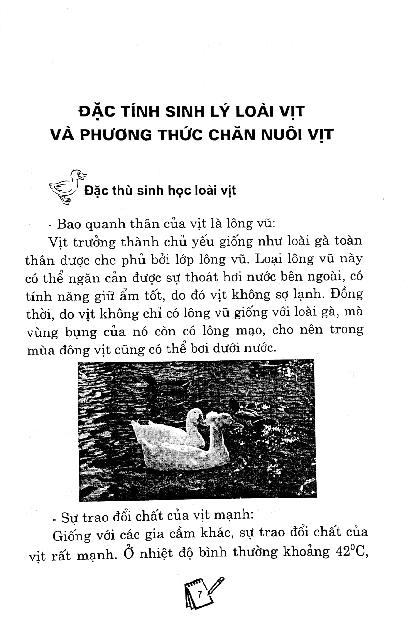 bạn của nhà nông - kỹ thuật nuôi và chăm sóc vịt (tái bản) - Ảnh 6