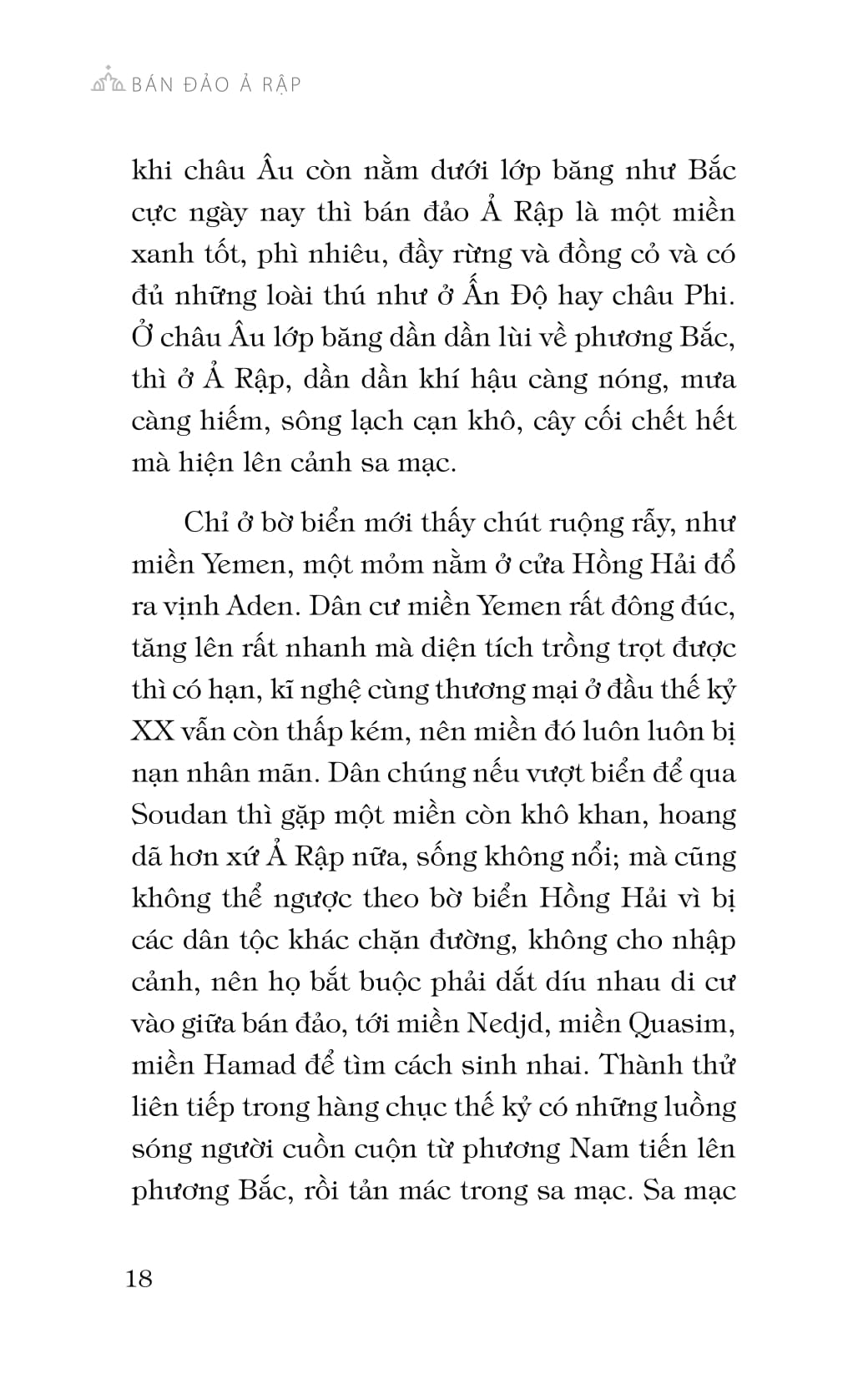 bán đảo ả rập - tinh thần hồi giáo và thảm kịch dầu mỏ (tái bản 2018) - Ảnh 17