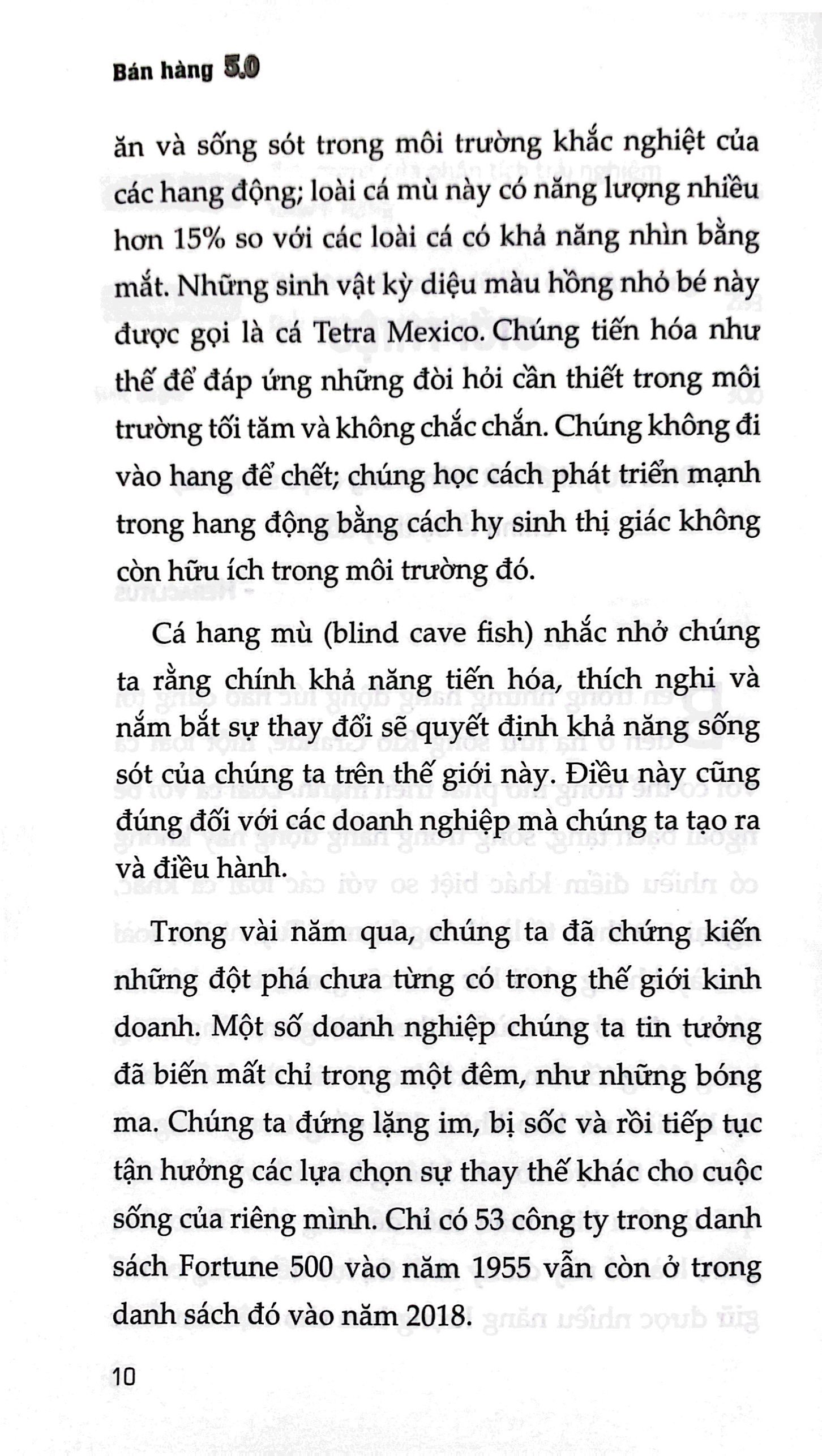 bán hàng 5.0 - Ảnh 7