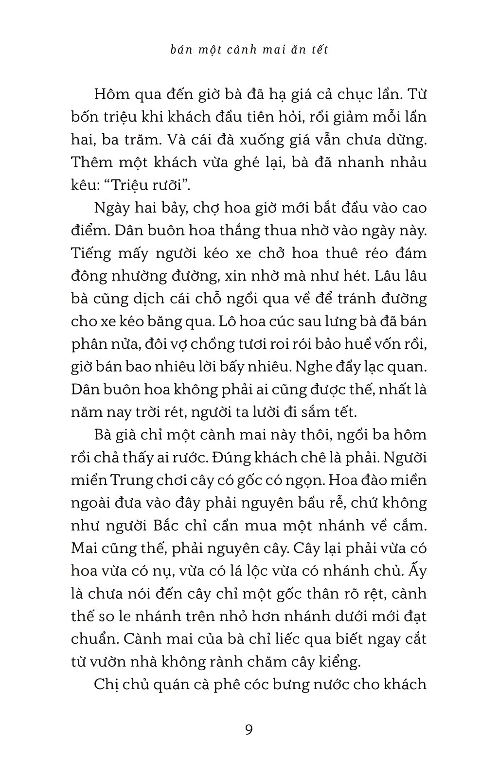 bán một cành mai ăn tết - Ảnh 6