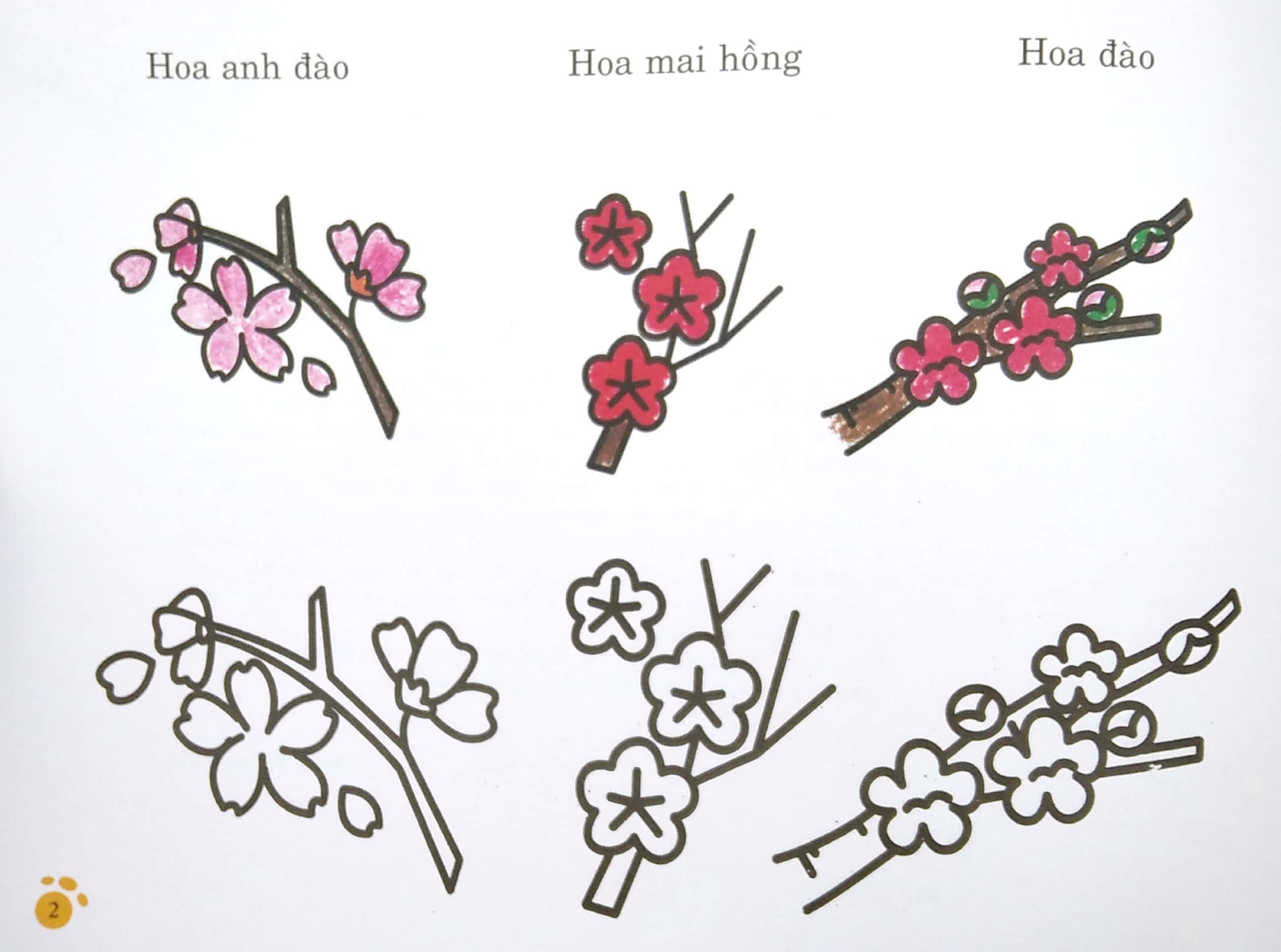 bàn tay nhỏ vẽ tranh - thực vật phong phú - Ảnh 4