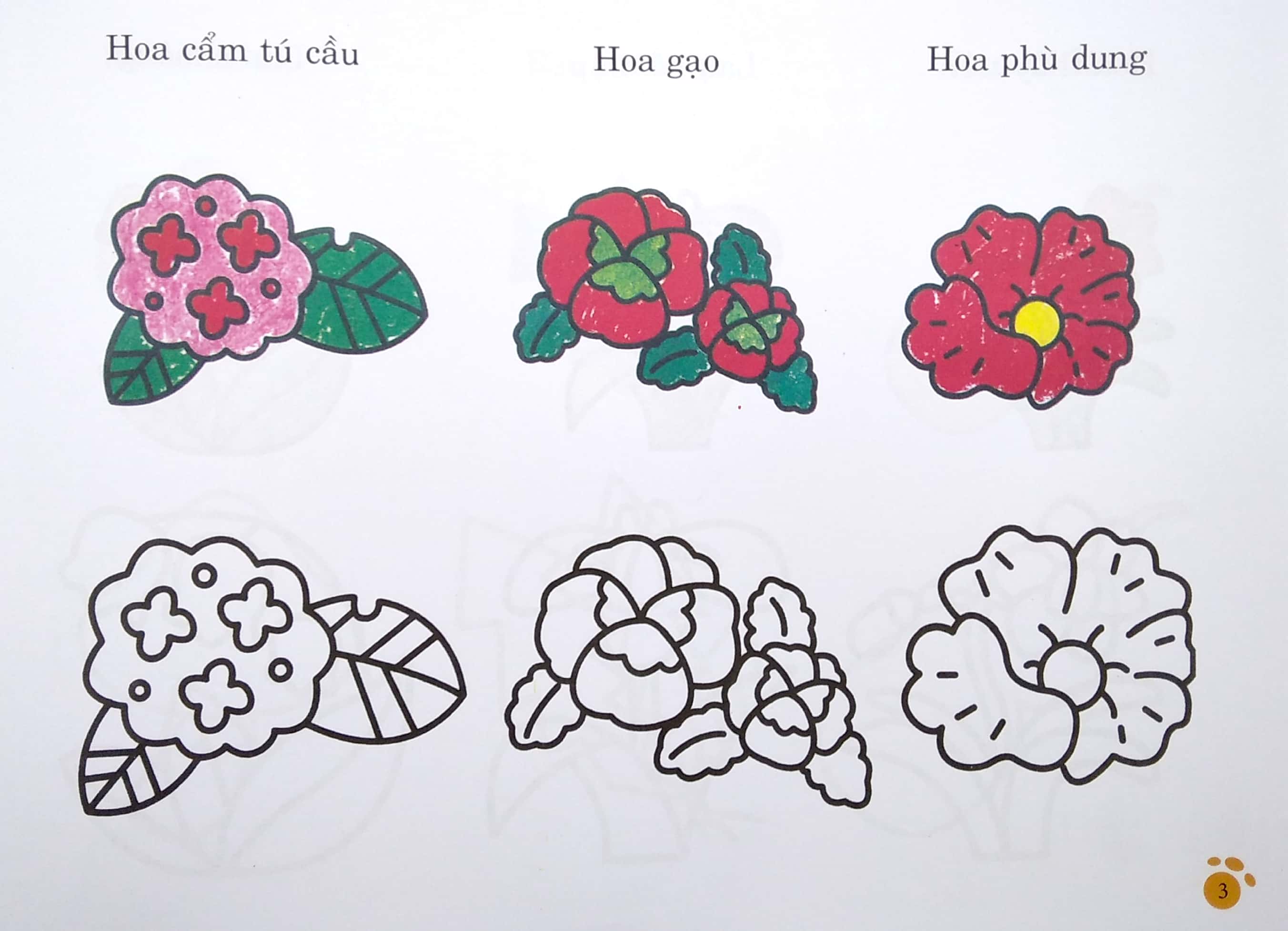 bàn tay nhỏ vẽ tranh - thực vật phong phú - Ảnh 5