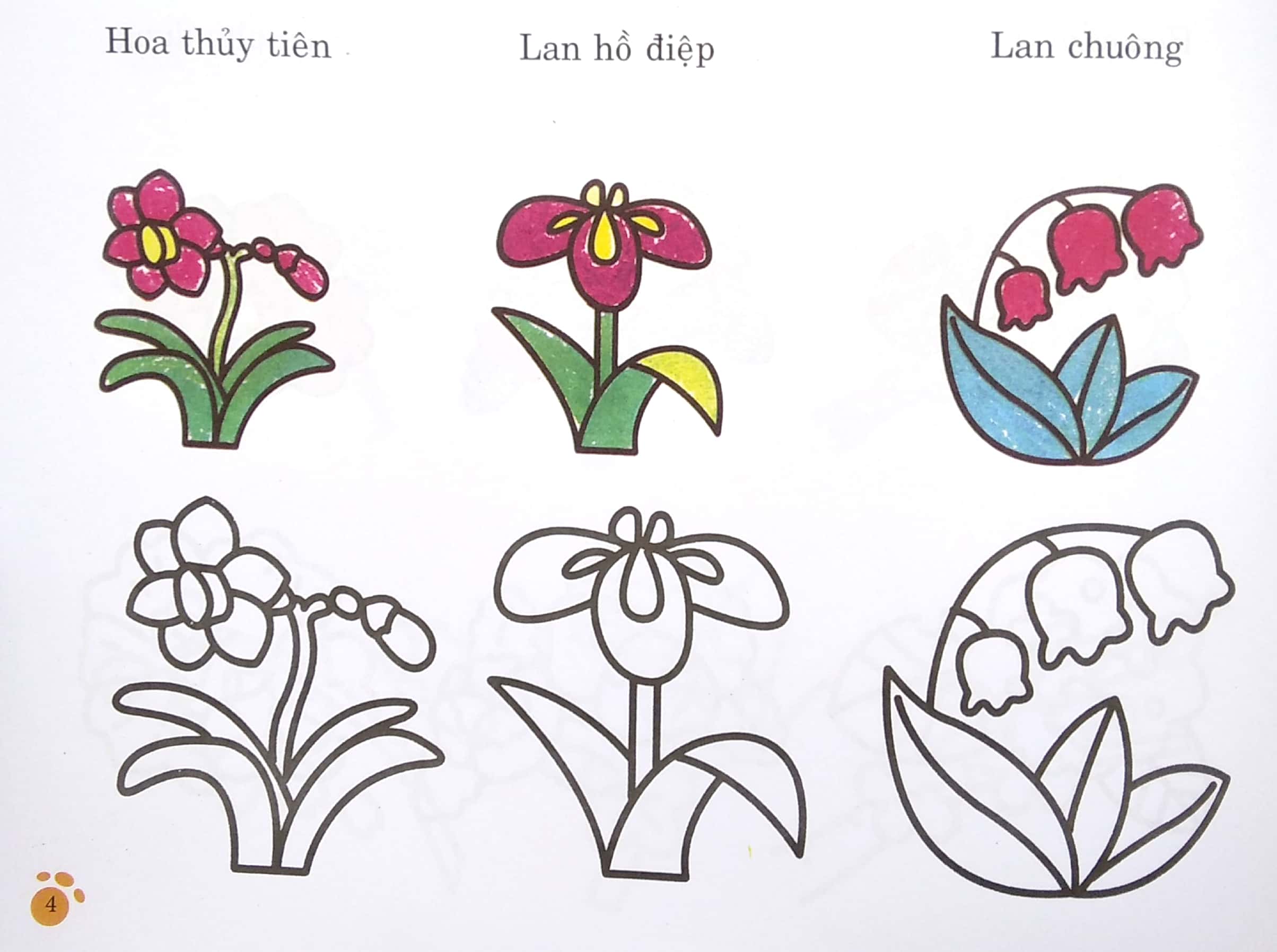 bàn tay nhỏ vẽ tranh - thực vật phong phú - Ảnh 6