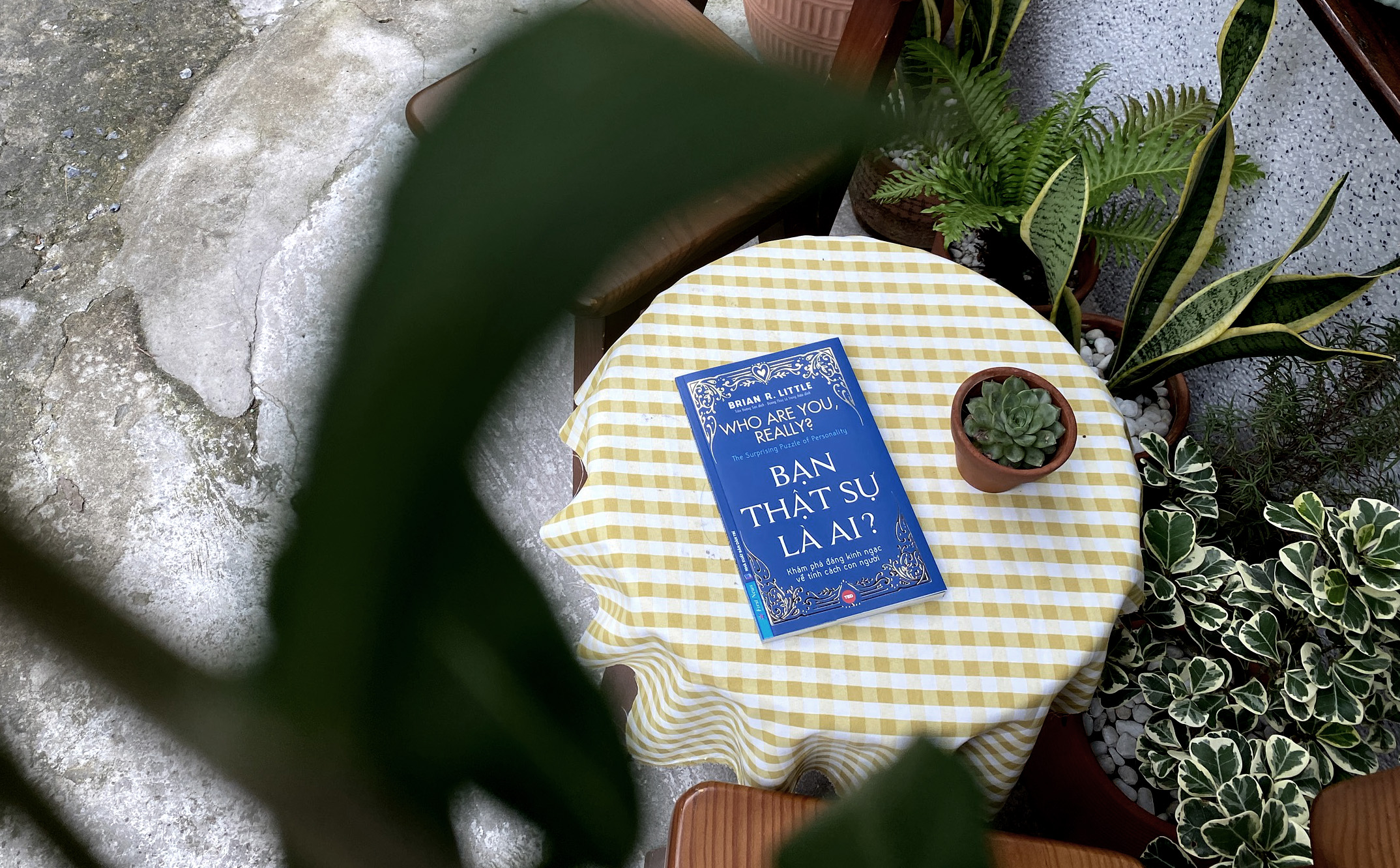 bạn thật sự là ai? who are you, really? - Ảnh 12