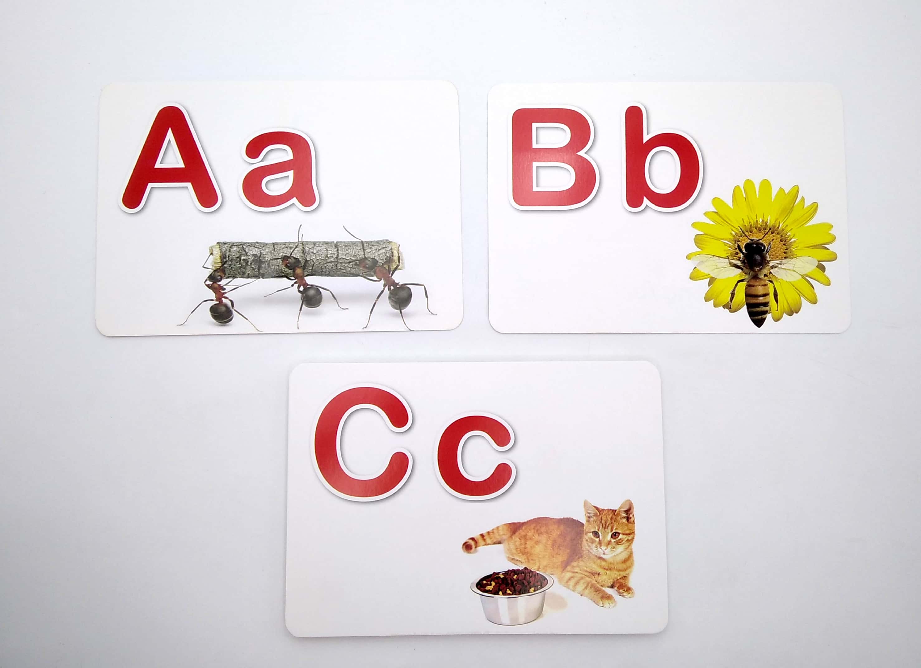 bảng chữ cái tiếng anh - giáo dục sớm thẻ thông minh chuẩn theo phương pháp giáo dục của glenn doman - Ảnh 3