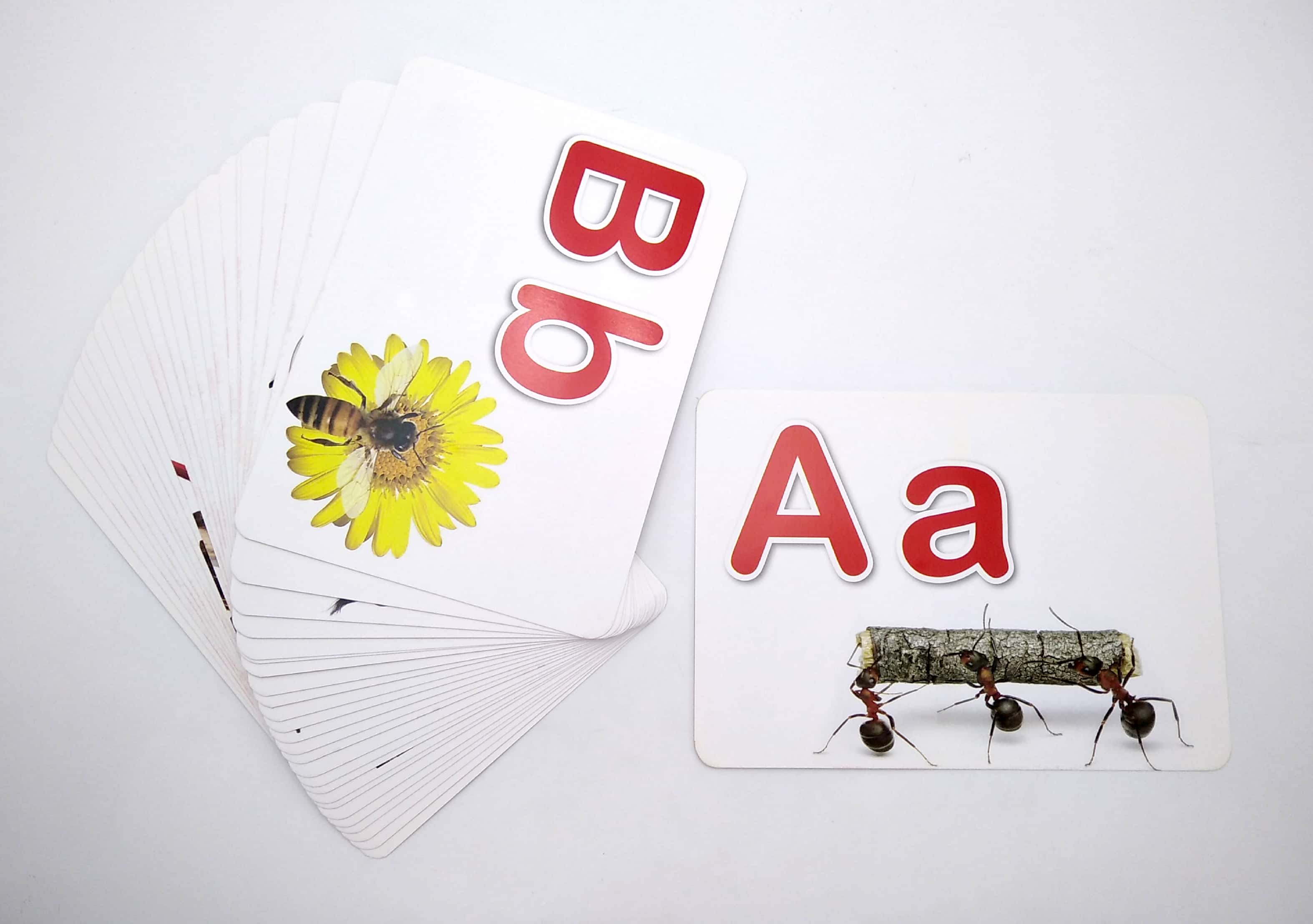 bảng chữ cái tiếng anh - giáo dục sớm thẻ thông minh chuẩn theo phương pháp giáo dục của glenn doman - Ảnh 5