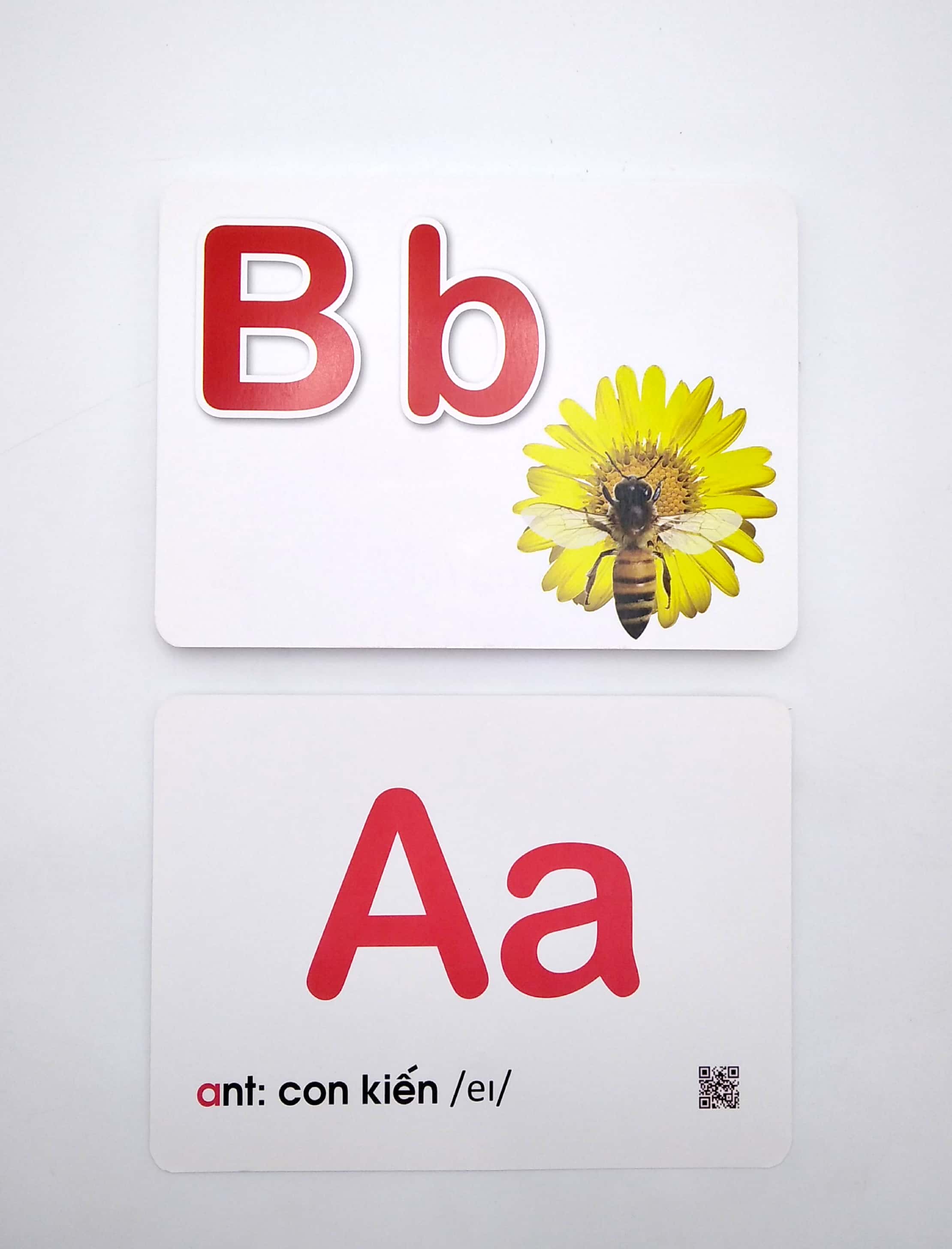 bảng chữ cái tiếng anh - giáo dục sớm thẻ thông minh chuẩn theo phương pháp giáo dục của glenn doman - Ảnh 6