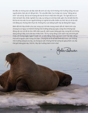 băng - ice - chilling stories from a disappearing world - những câu chuyện ly kỳ từ một thế giới đang dần biến mất - Ảnh 5