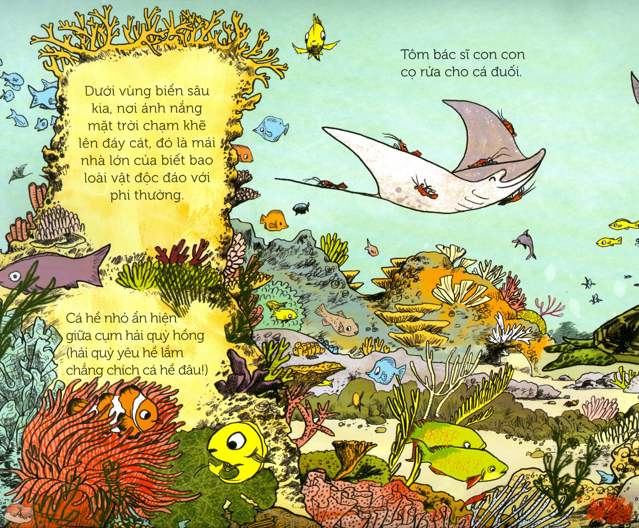 bánh của cua - Ảnh 3