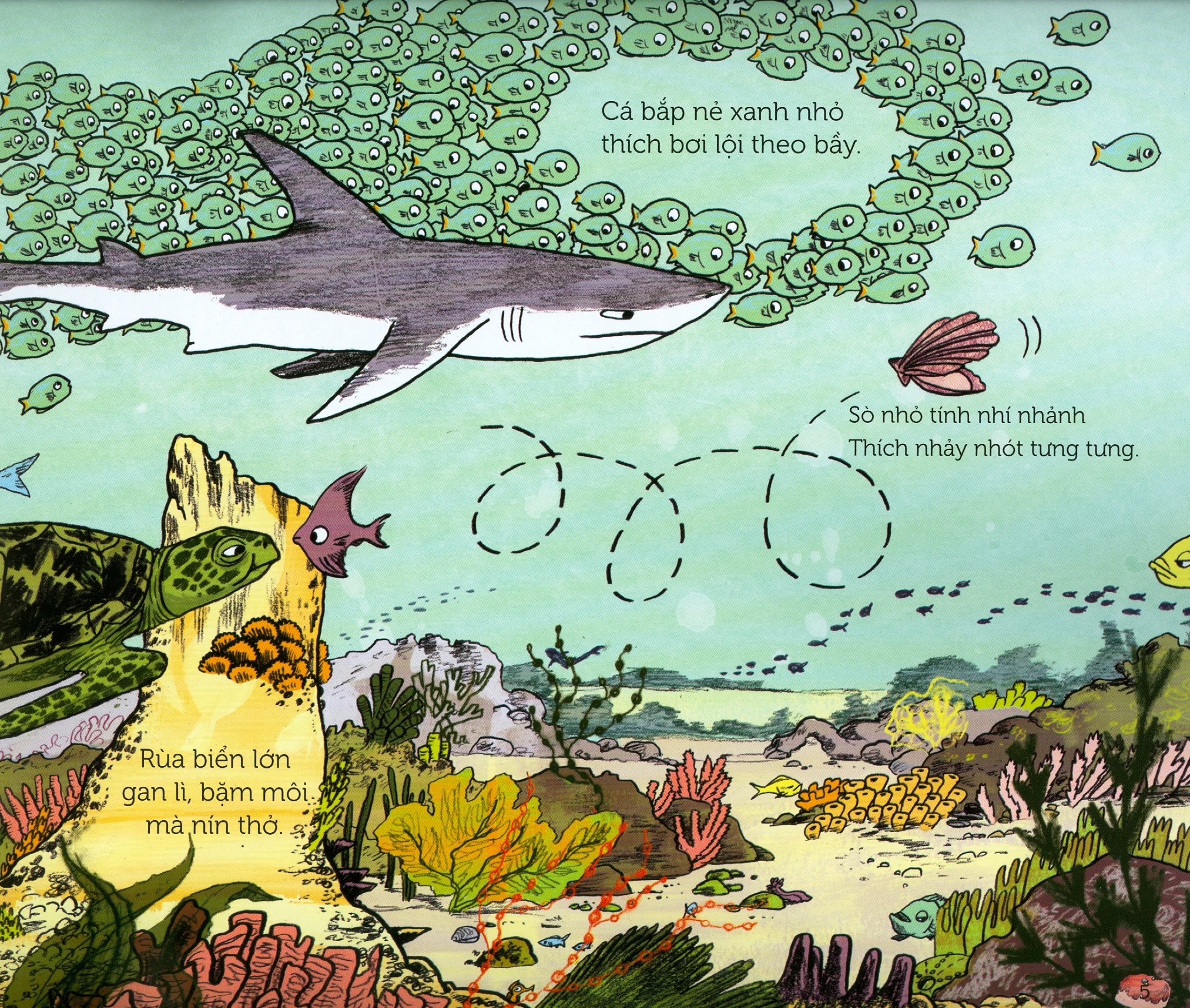 bánh của cua - Ảnh 4