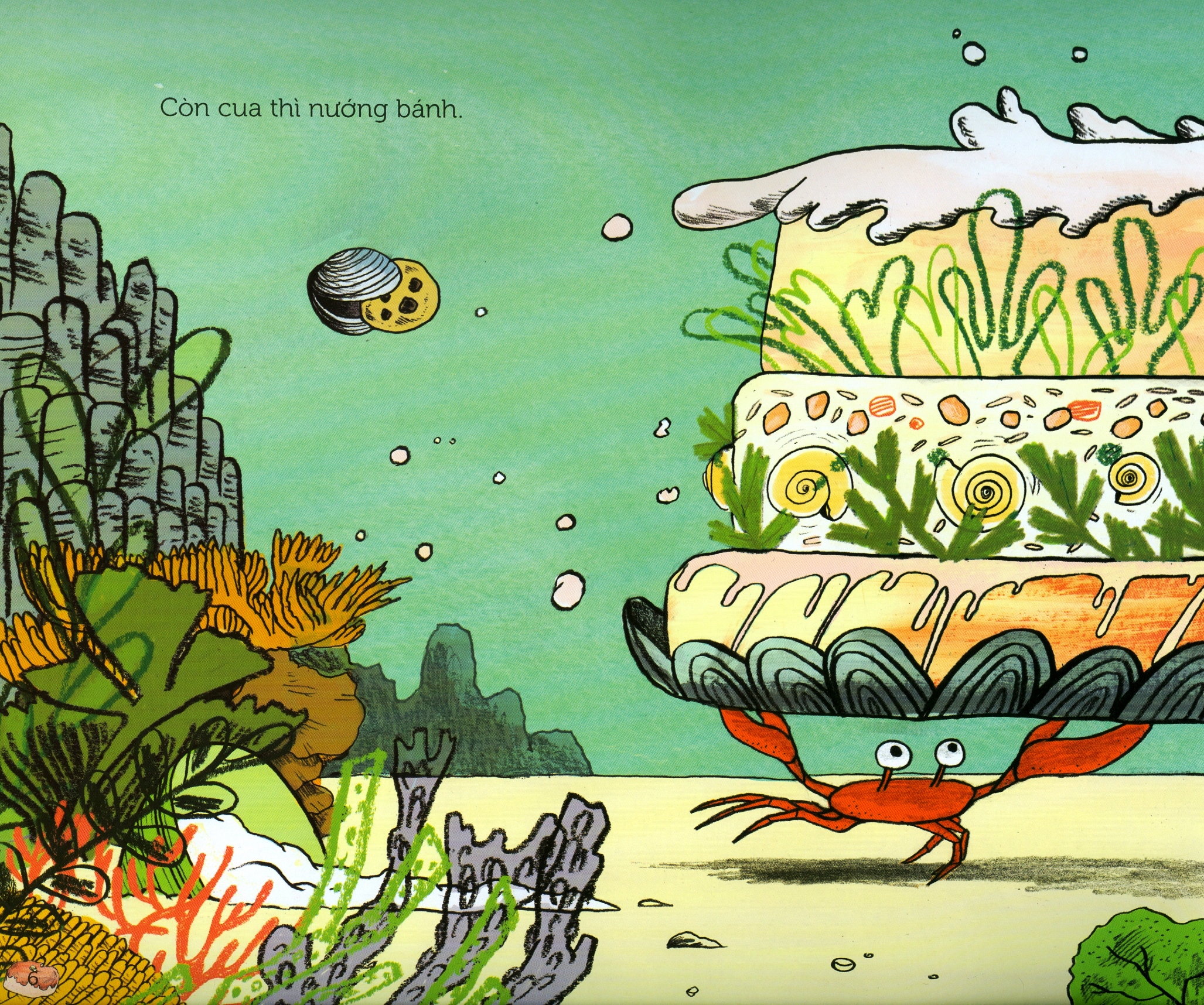 bánh của cua - Ảnh 5