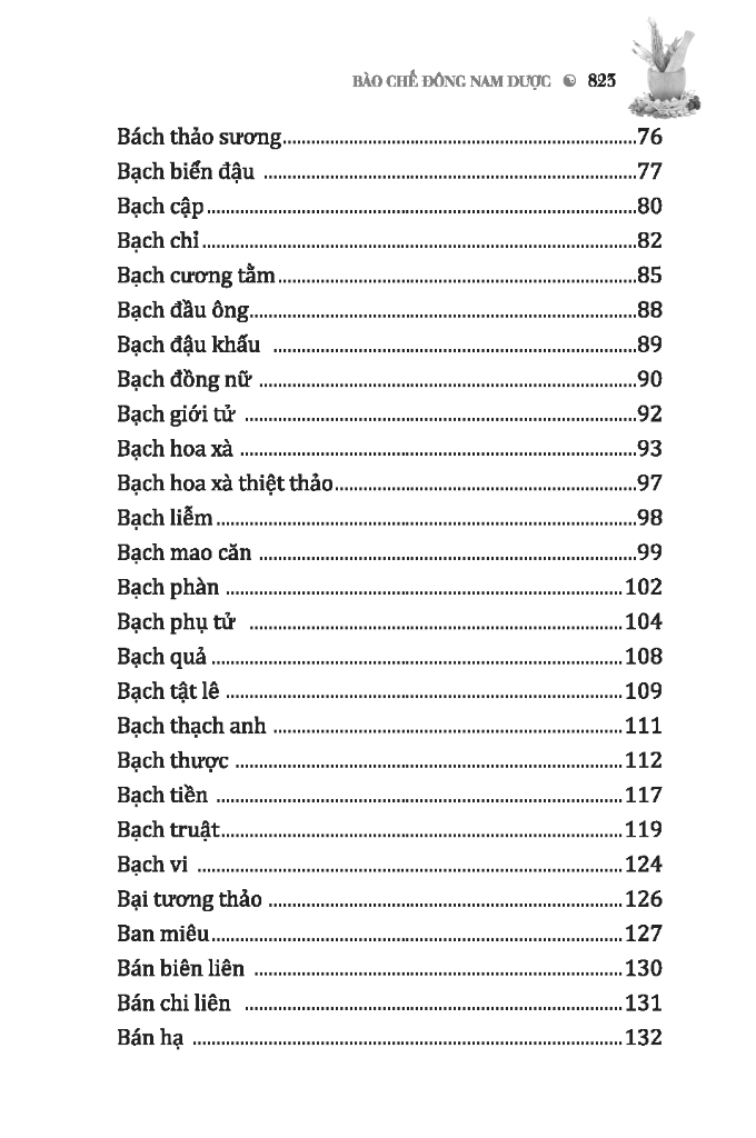 bào chế đông nam dược (bìa cứng) - Ảnh 4