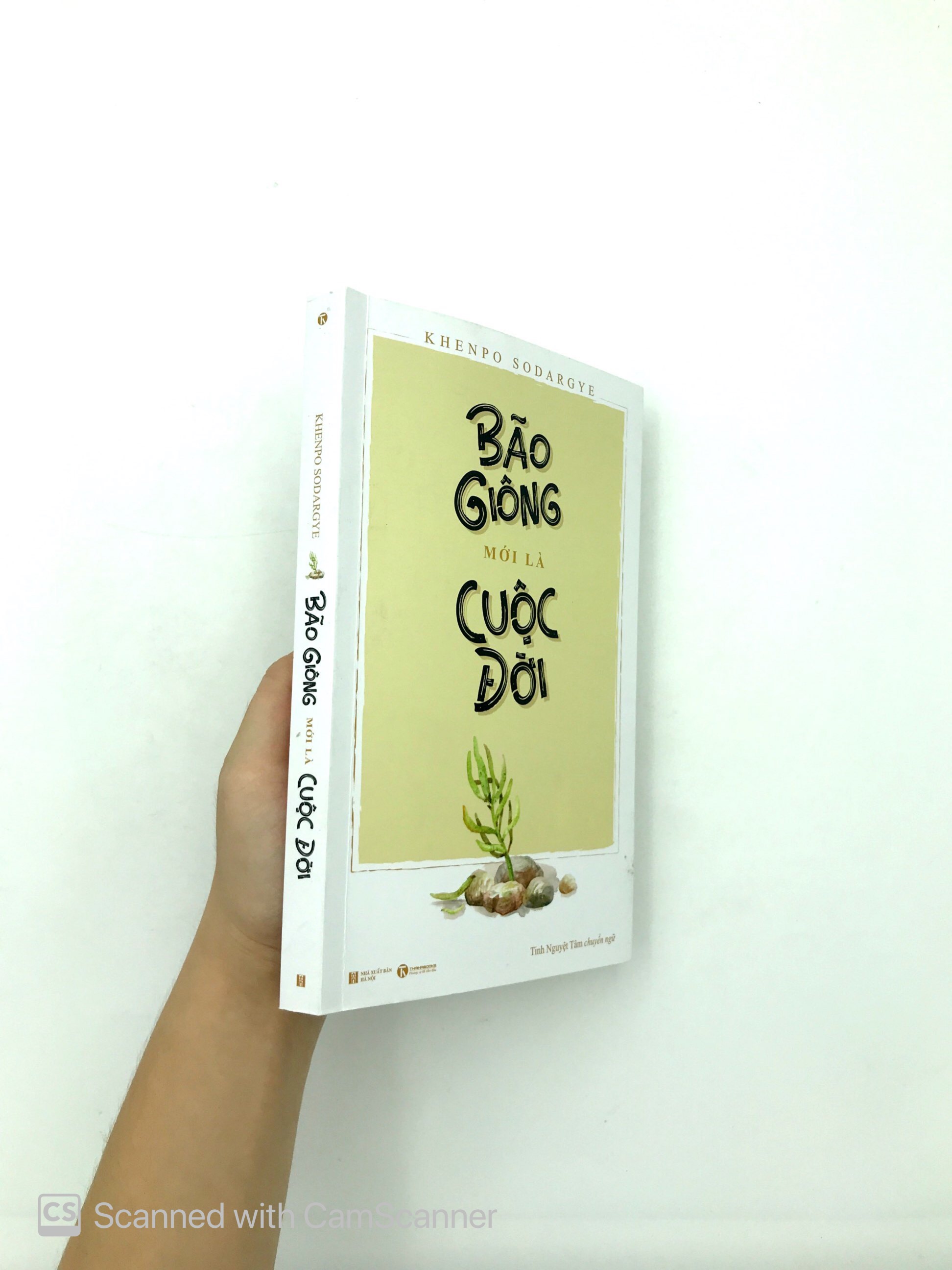 bão giông mới là cuộc đời - Ảnh 13