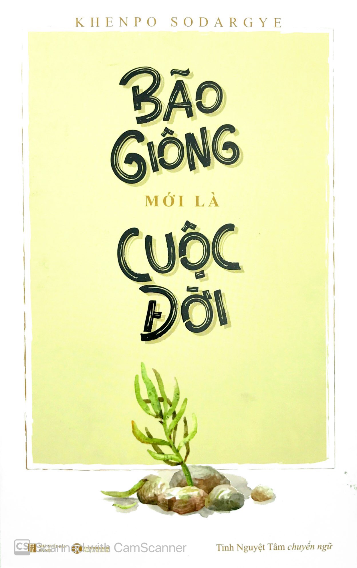 bão giông mới là cuộc đời - Ảnh 2