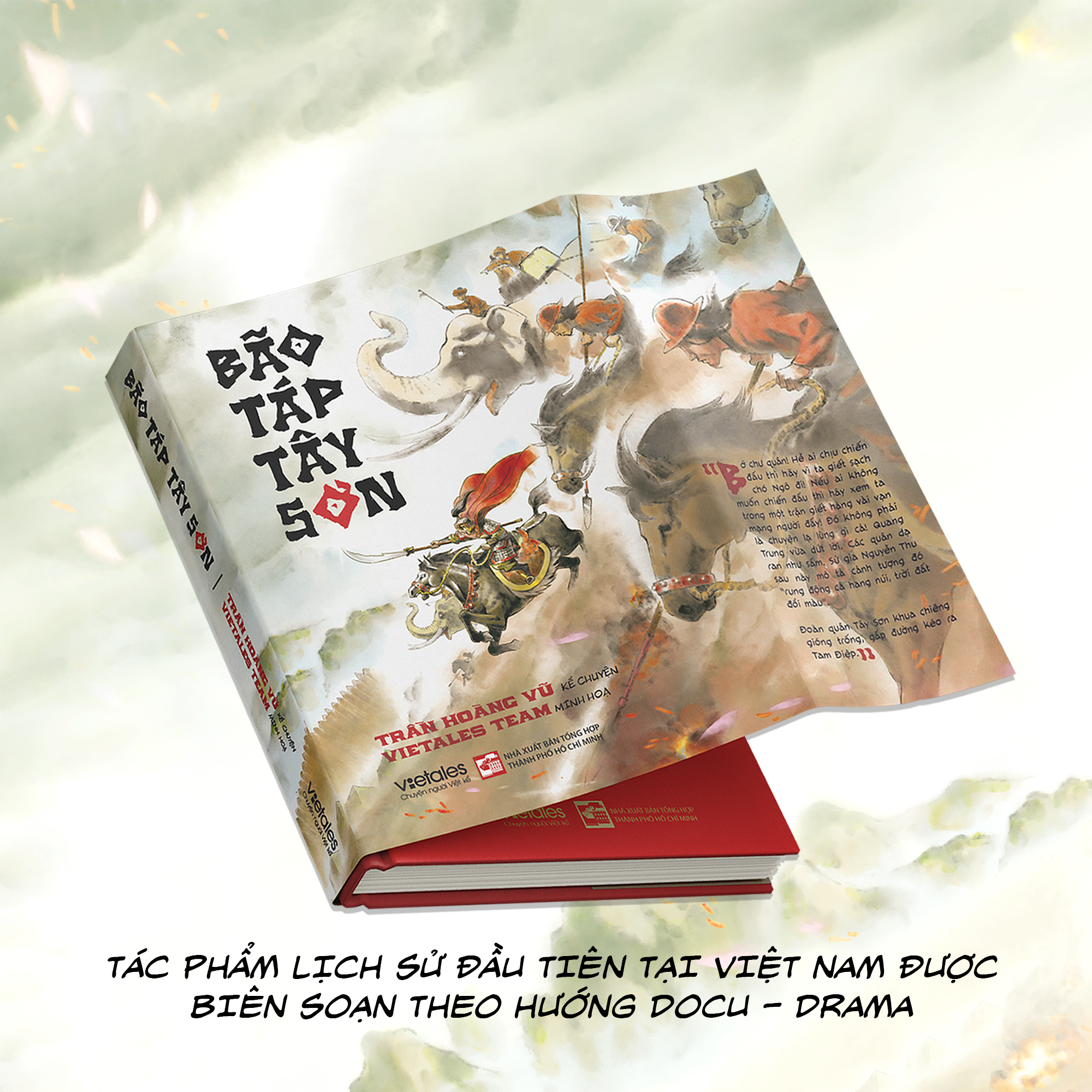 Bão Táp Tây Sơn - Bìa Cứng - Ảnh 5