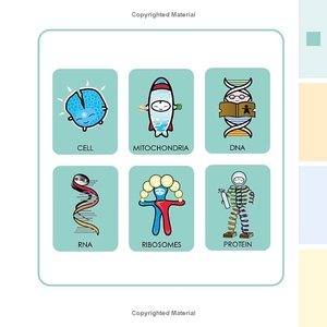 basher science - biology - Ảnh 8