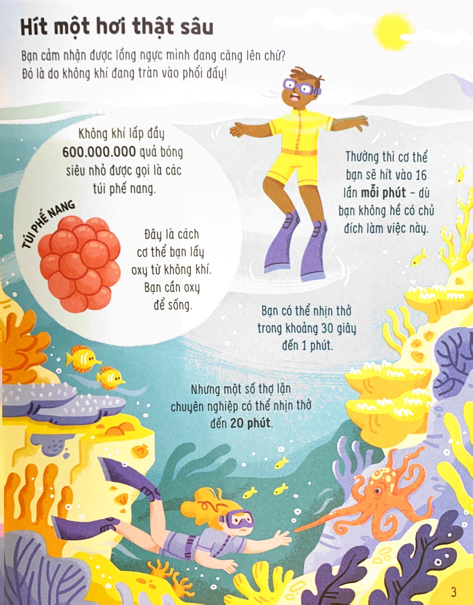 bật mí bí mật về cơ thể người - Ảnh 4