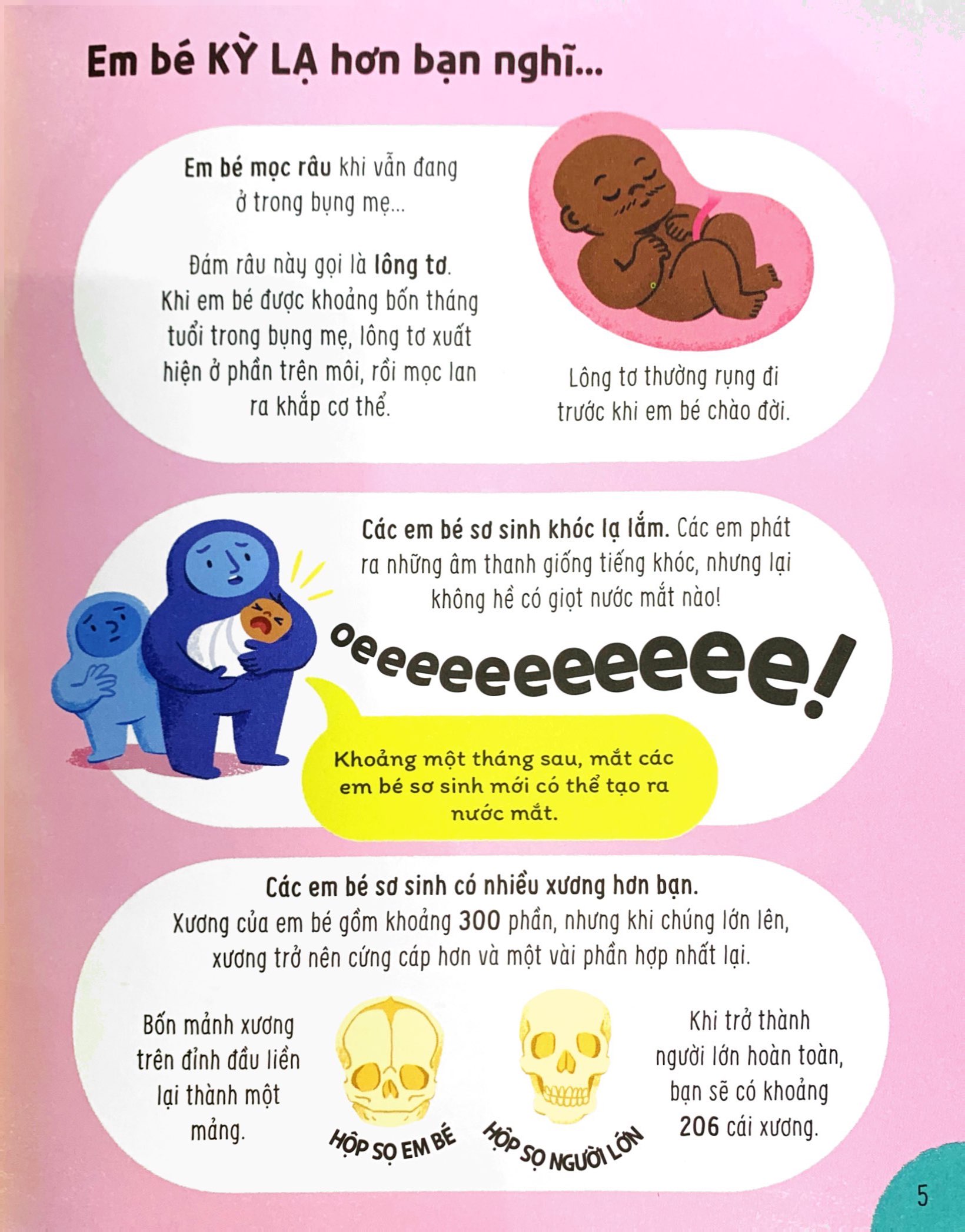 bật mí bí mật về cơ thể người - Ảnh 6