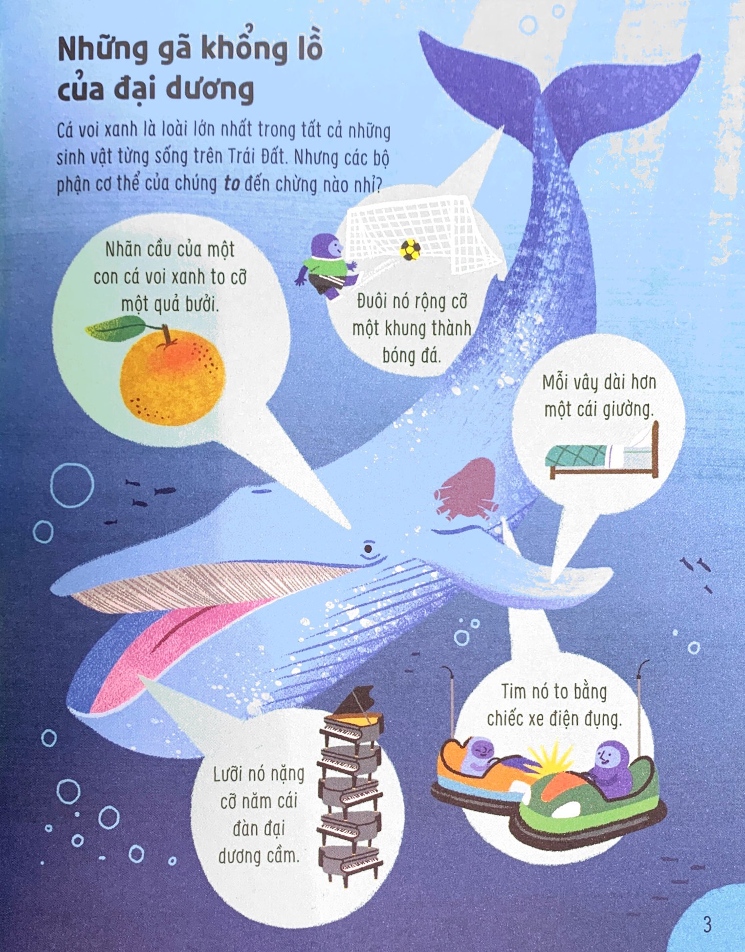 bật mí bí mật về động vật - Ảnh 4