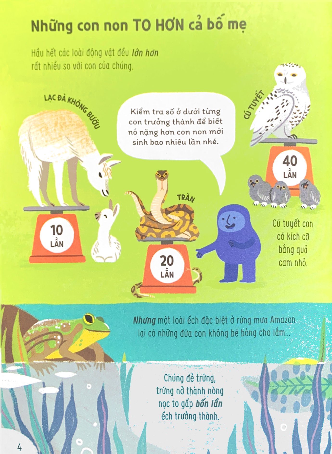 bật mí bí mật về động vật - Ảnh 5