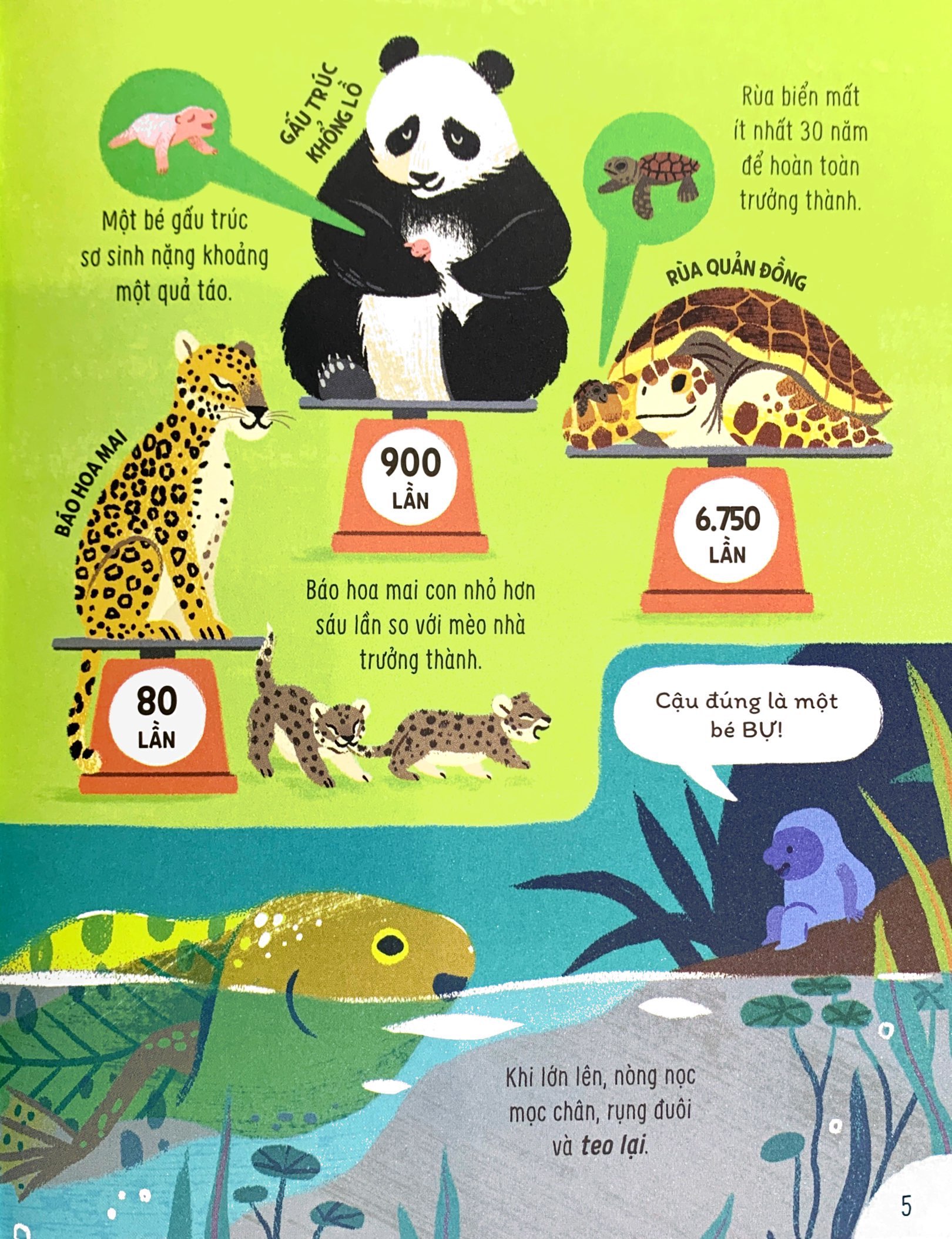 bật mí bí mật về động vật - Ảnh 6