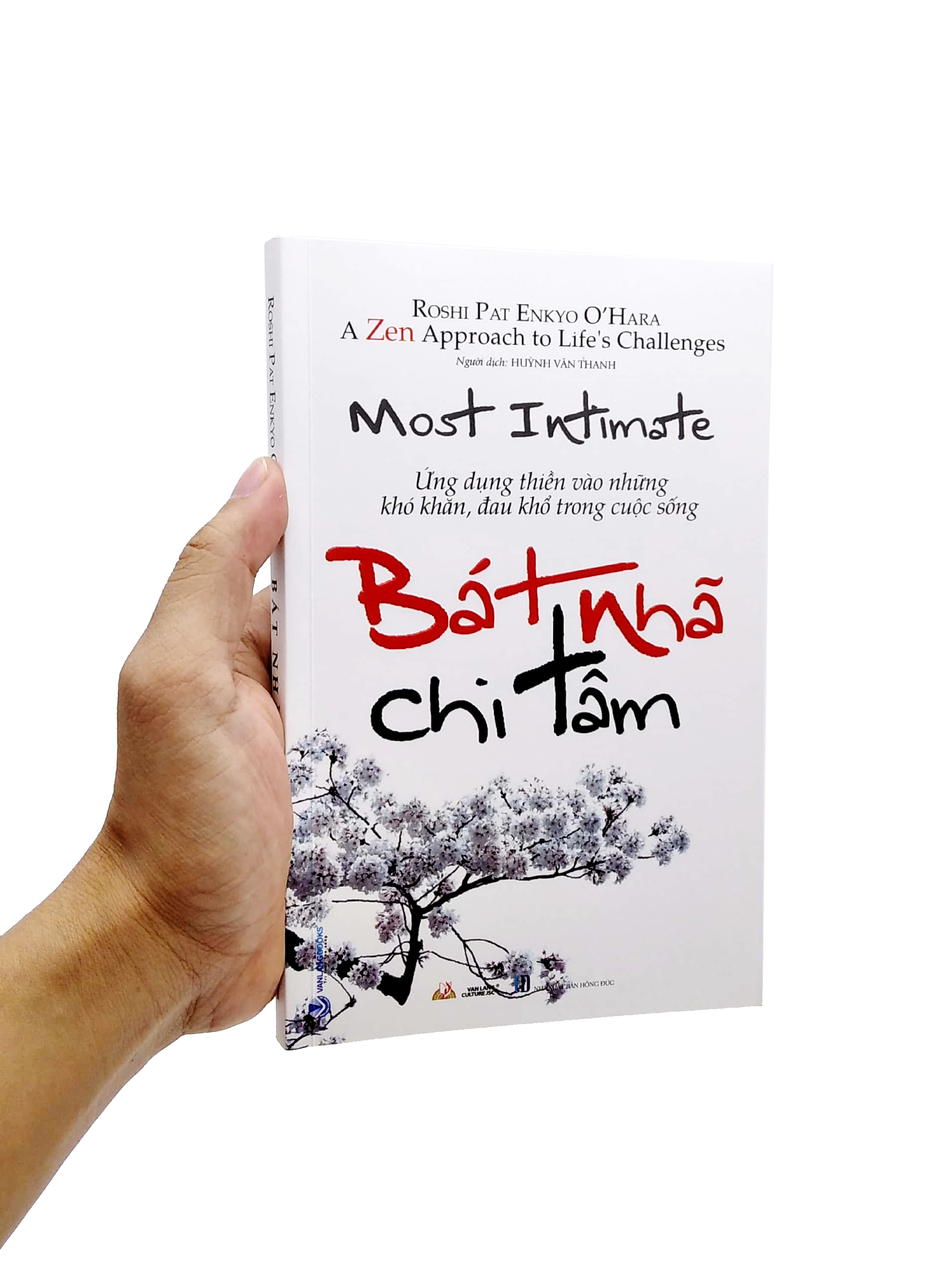 bát nhã chi tâm - ứng dụng thiền vào những khó khăn, đau khổ trong cuộc sống - Ảnh 7