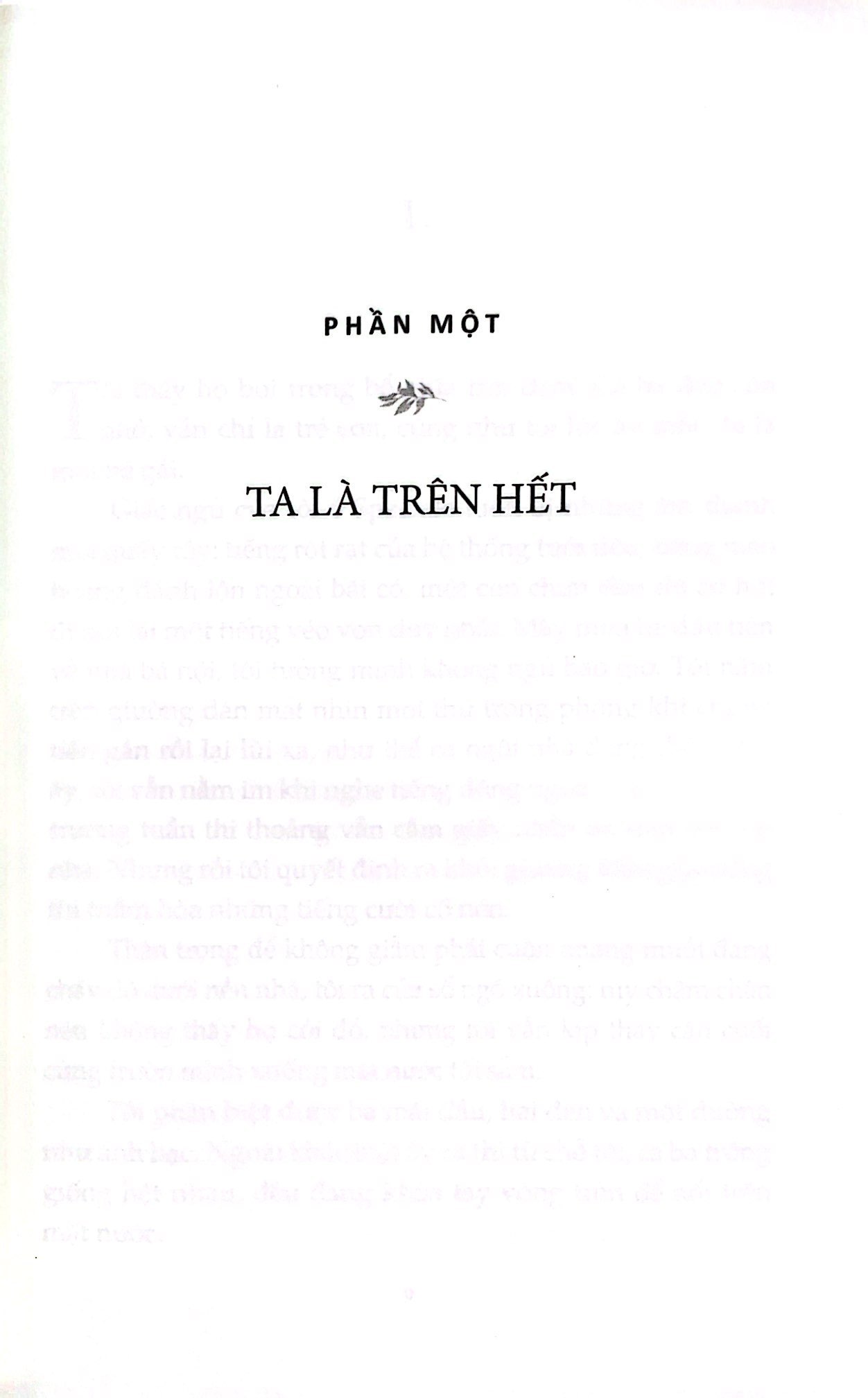 bầu trời và mặt đất - Ảnh 3