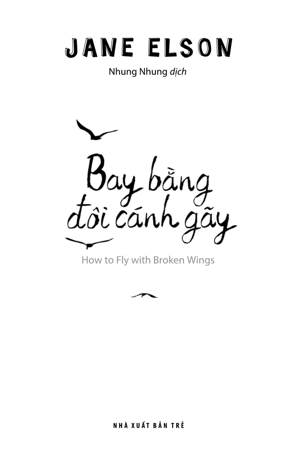 bay bằng đôi cánh gãy - how to fly with broken wings - Ảnh 4