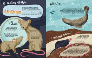 bảy giác quan phi thường - bìa cứng - Ảnh 5