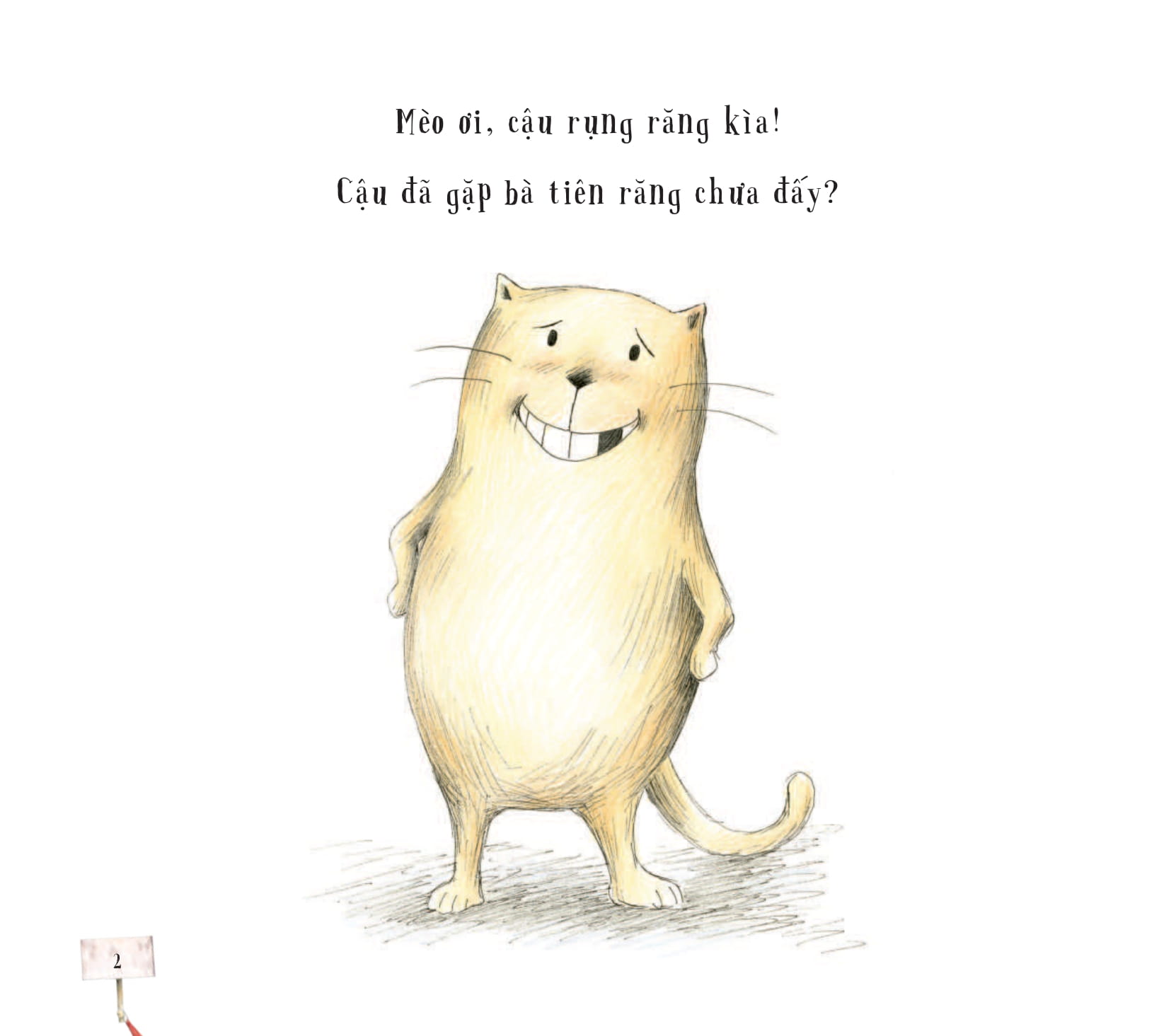 bé có muốn giúp mèo - gặp bà tiên răng? - Ảnh 3