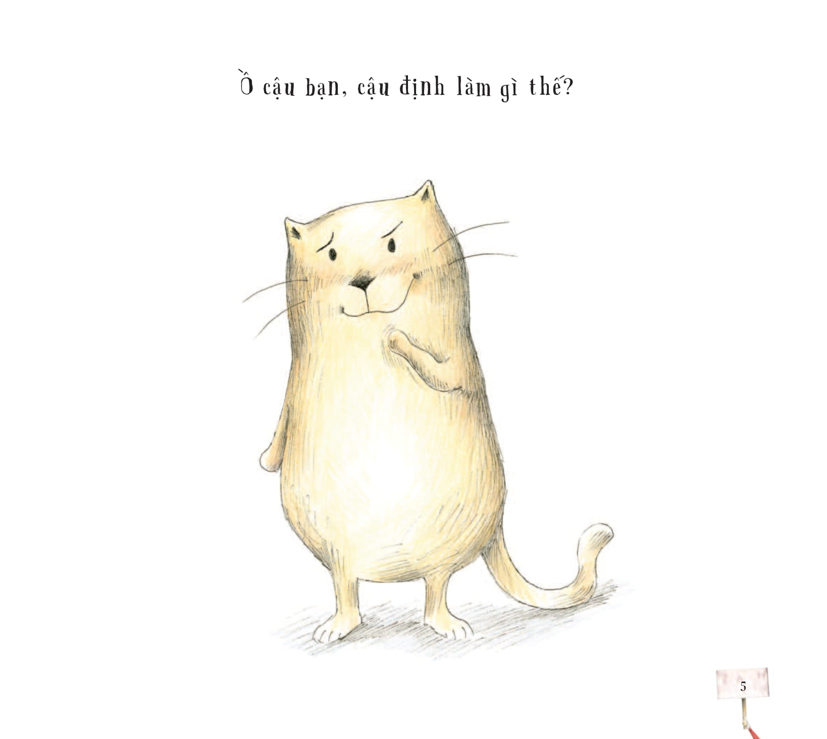 bé có muốn giúp mèo - gặp bà tiên răng? - Ảnh 6